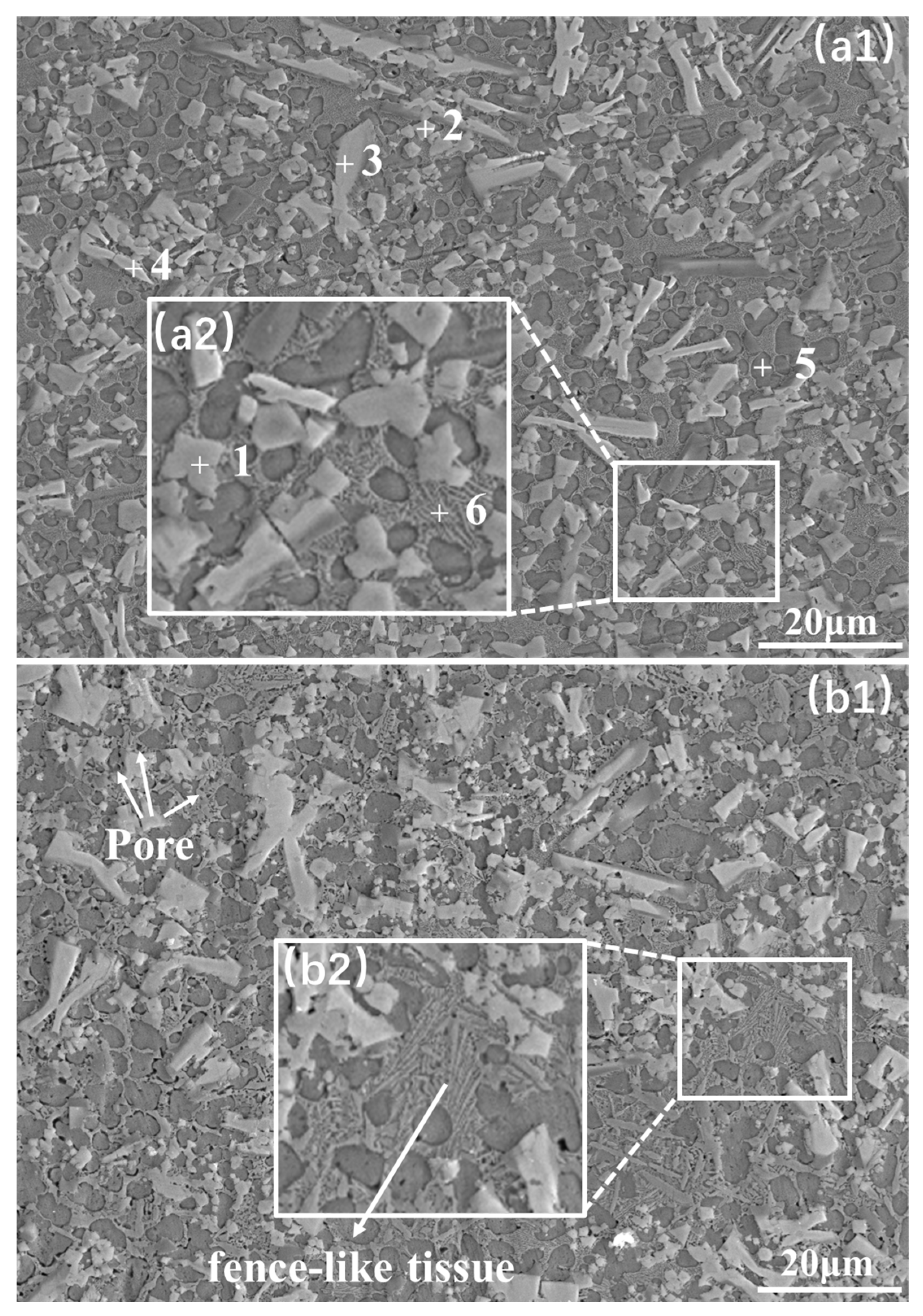 Coatings 13 00826 g005 Coatings 13 00826 g005