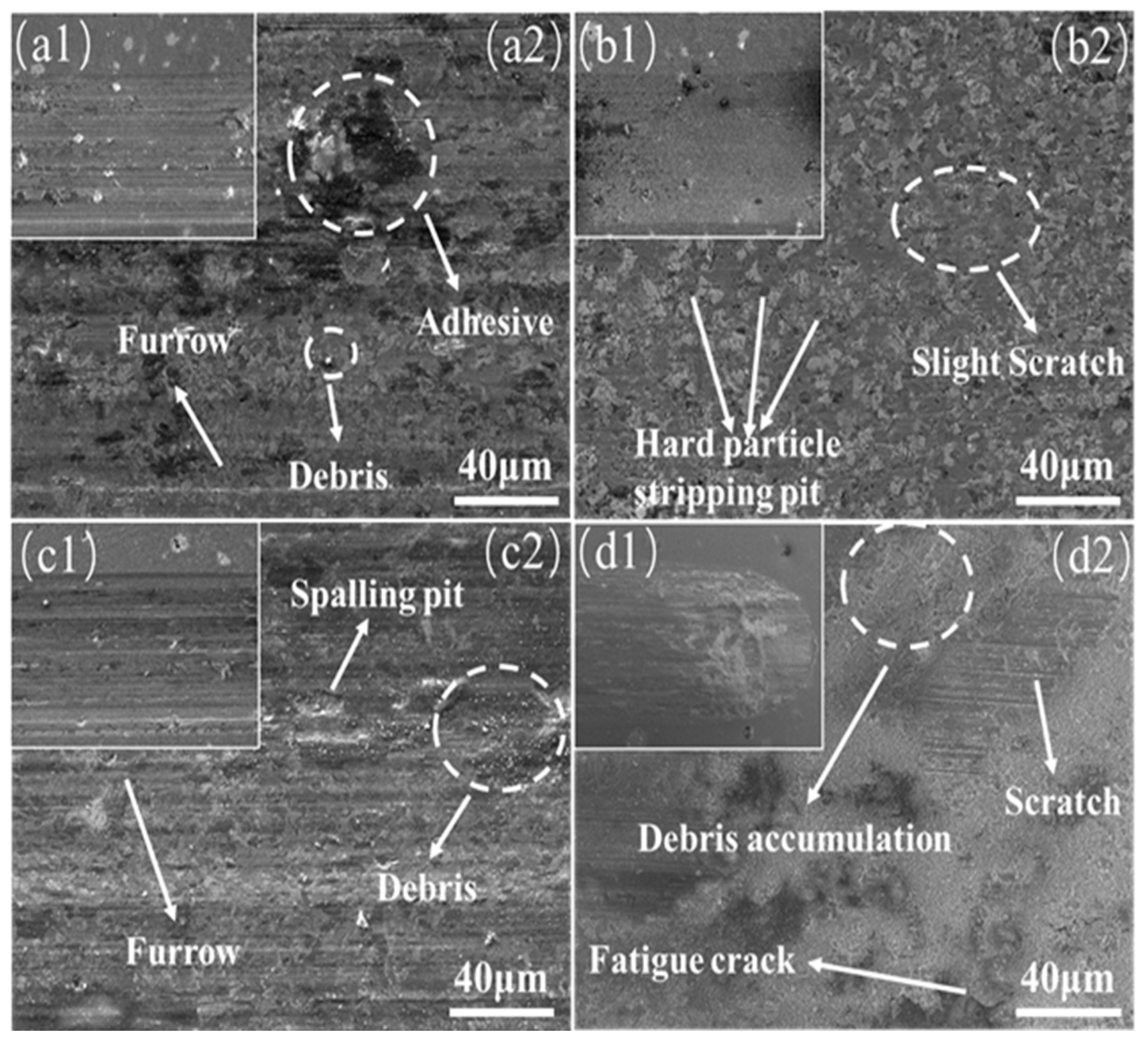 Coatings 13 00826 g009