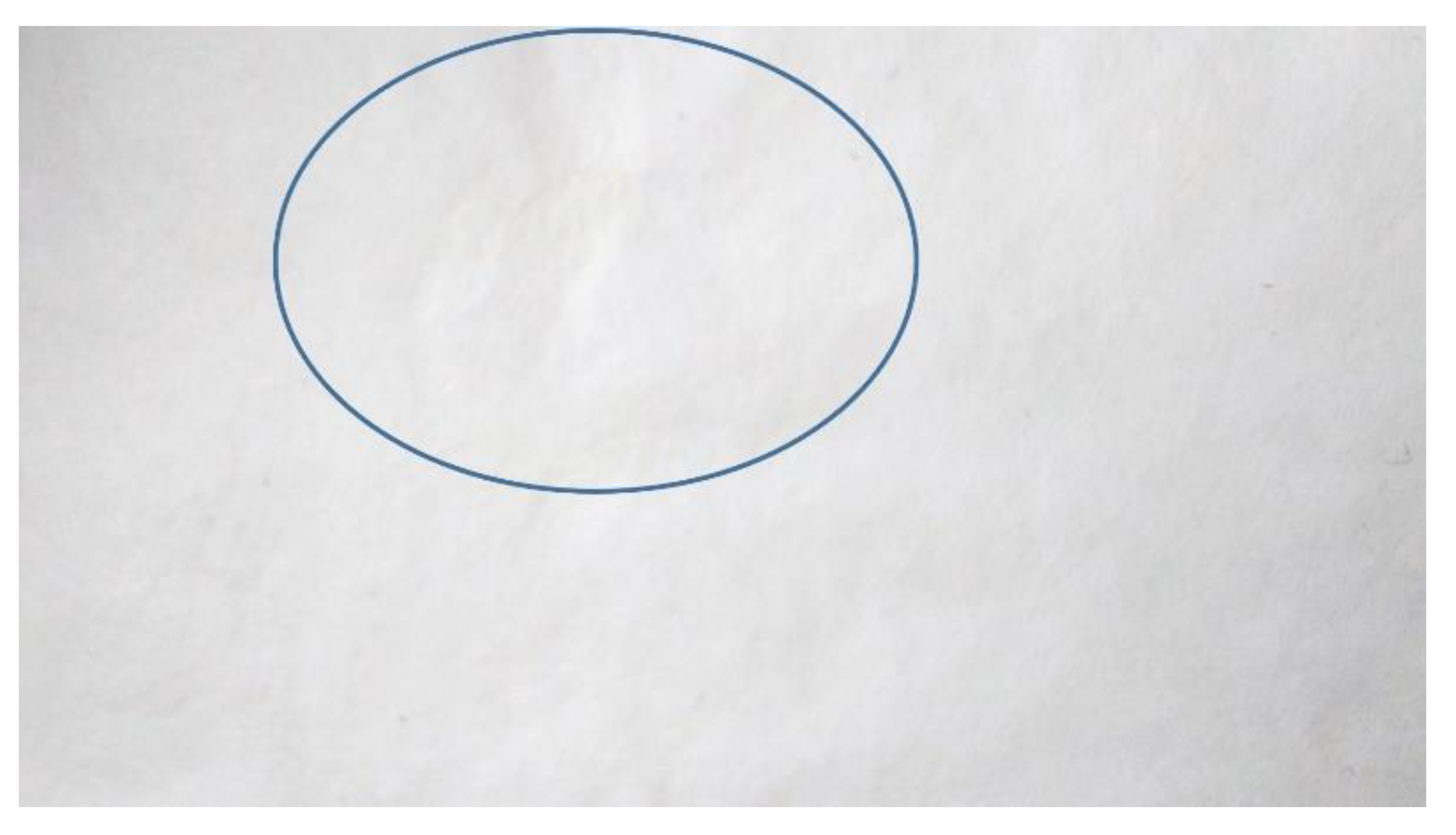 Coatings 13 00828 g003 Coatings 13 00828 g003