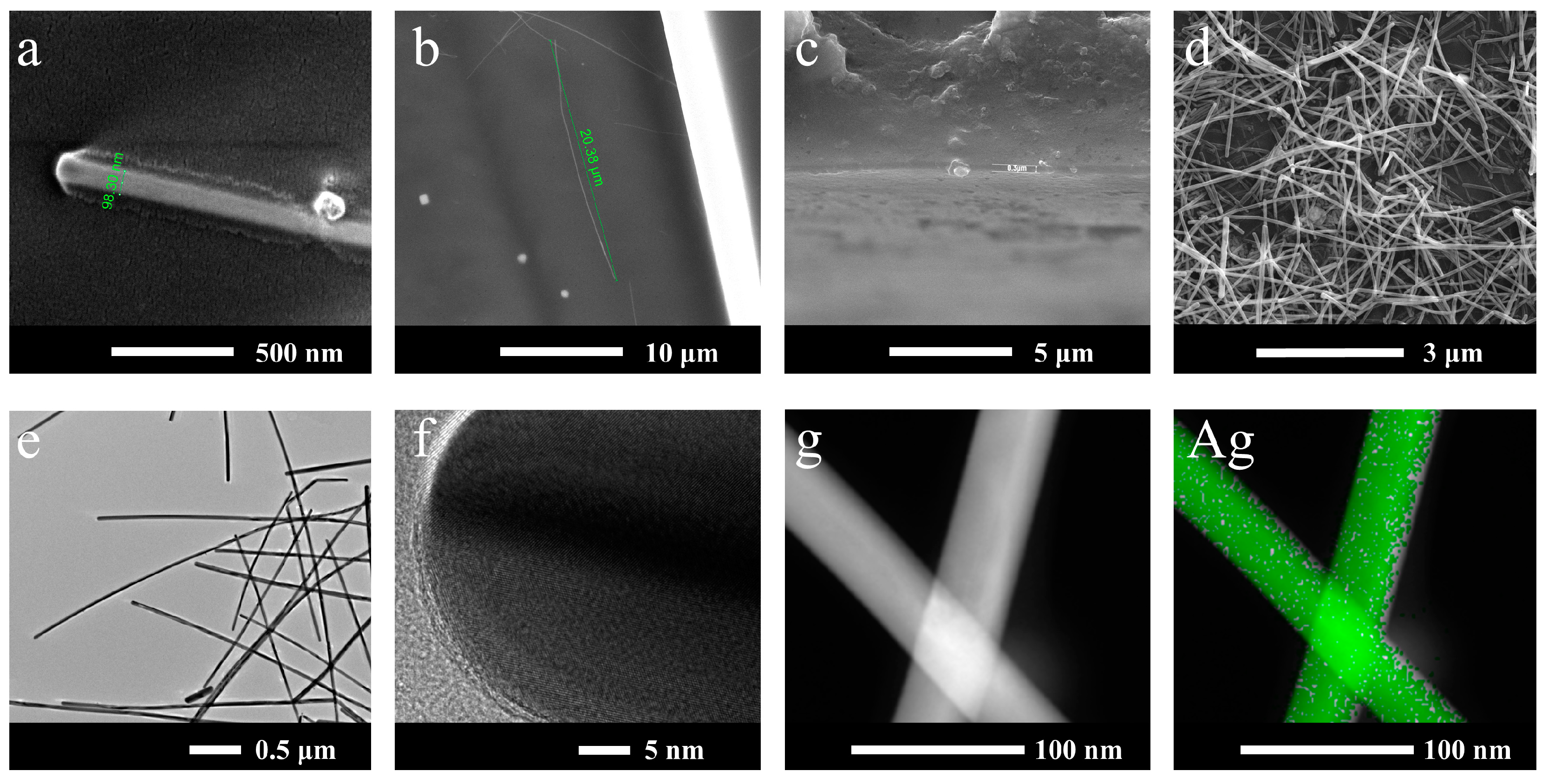 Coatings 13 00829 g002