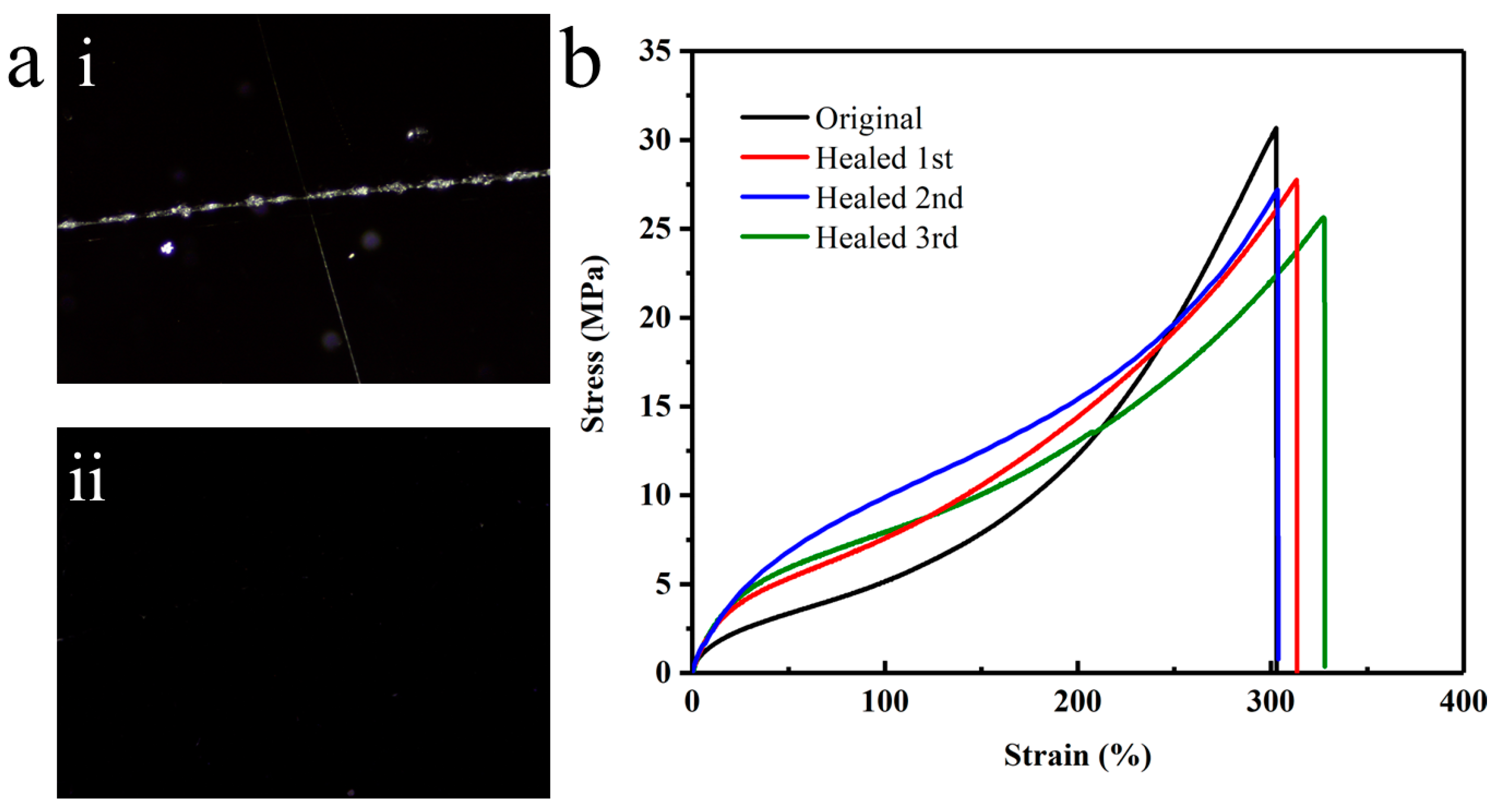 Coatings 13 00829 g006