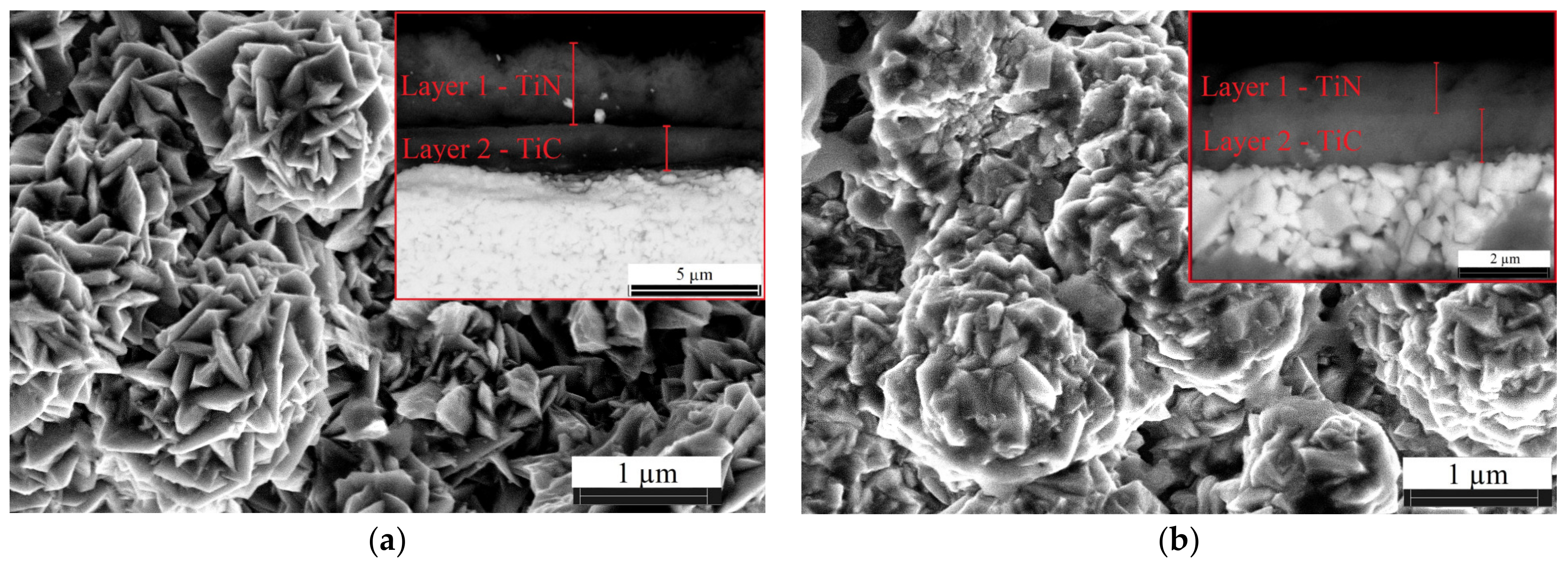 Coatings 13 00832 g001