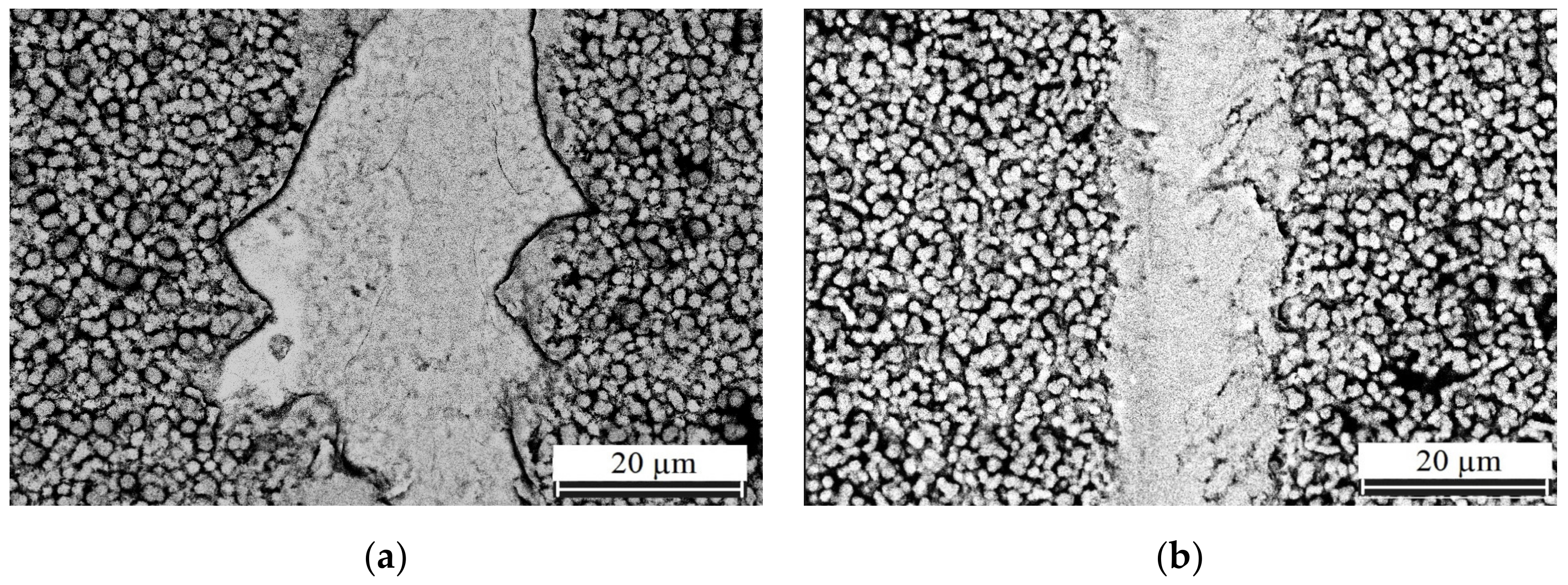 Coatings 13 00832 g009