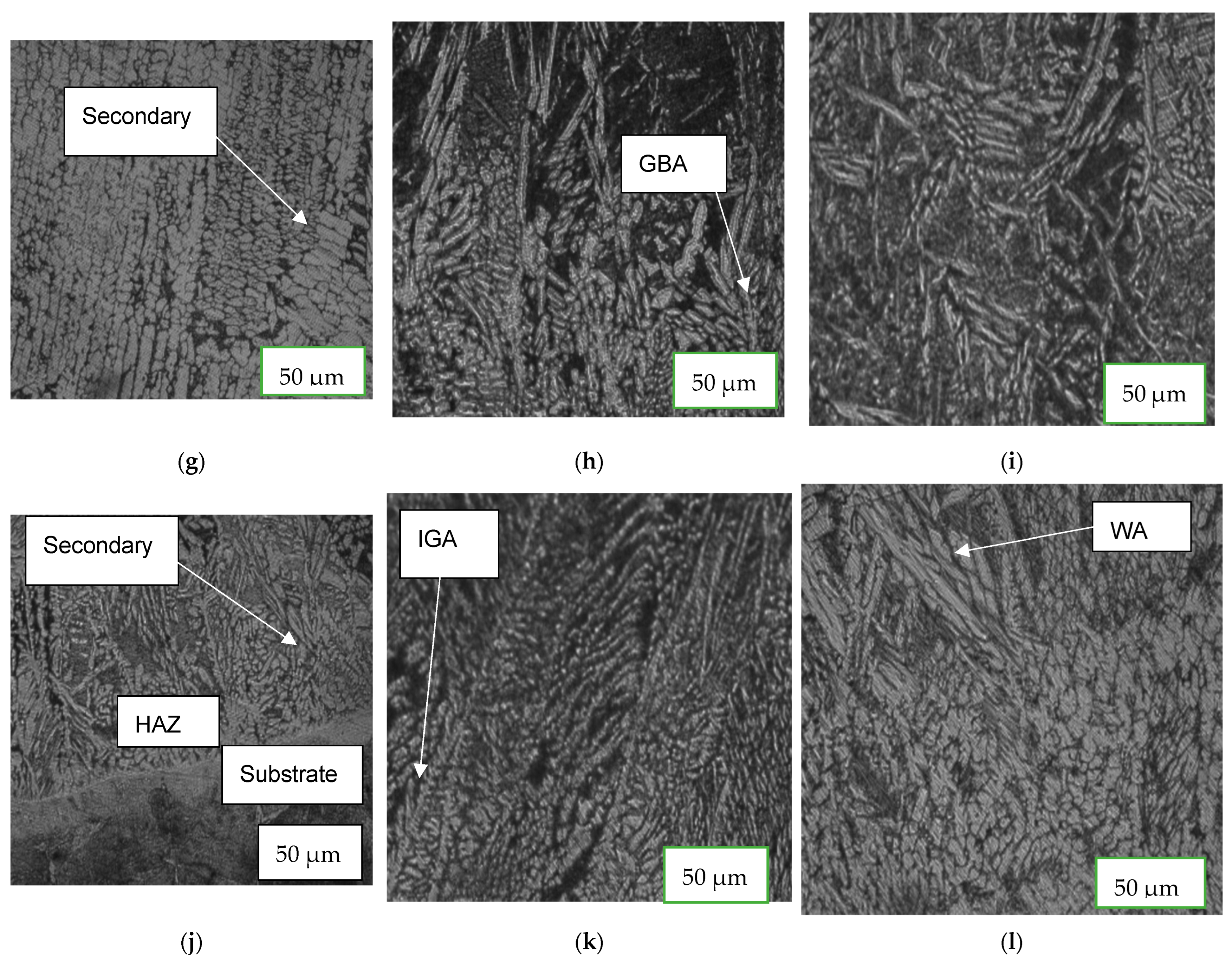Coatings 13 00841 g008b
