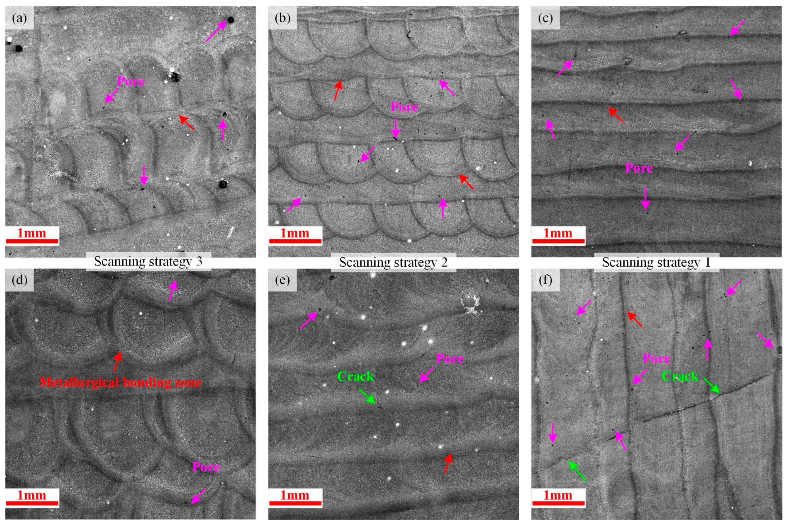Coatings 13 00842 g004