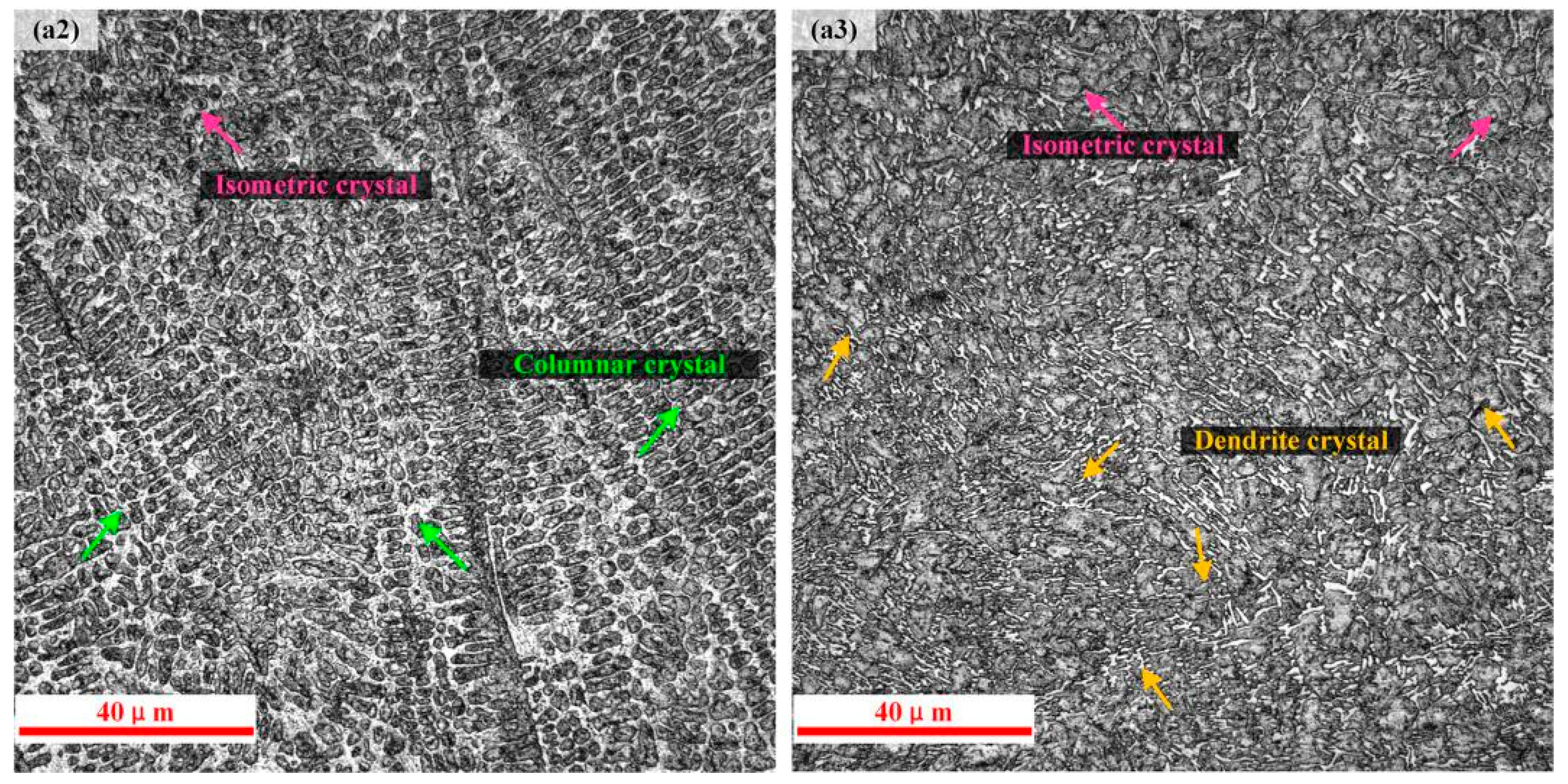 Coatings 13 00842 g006b