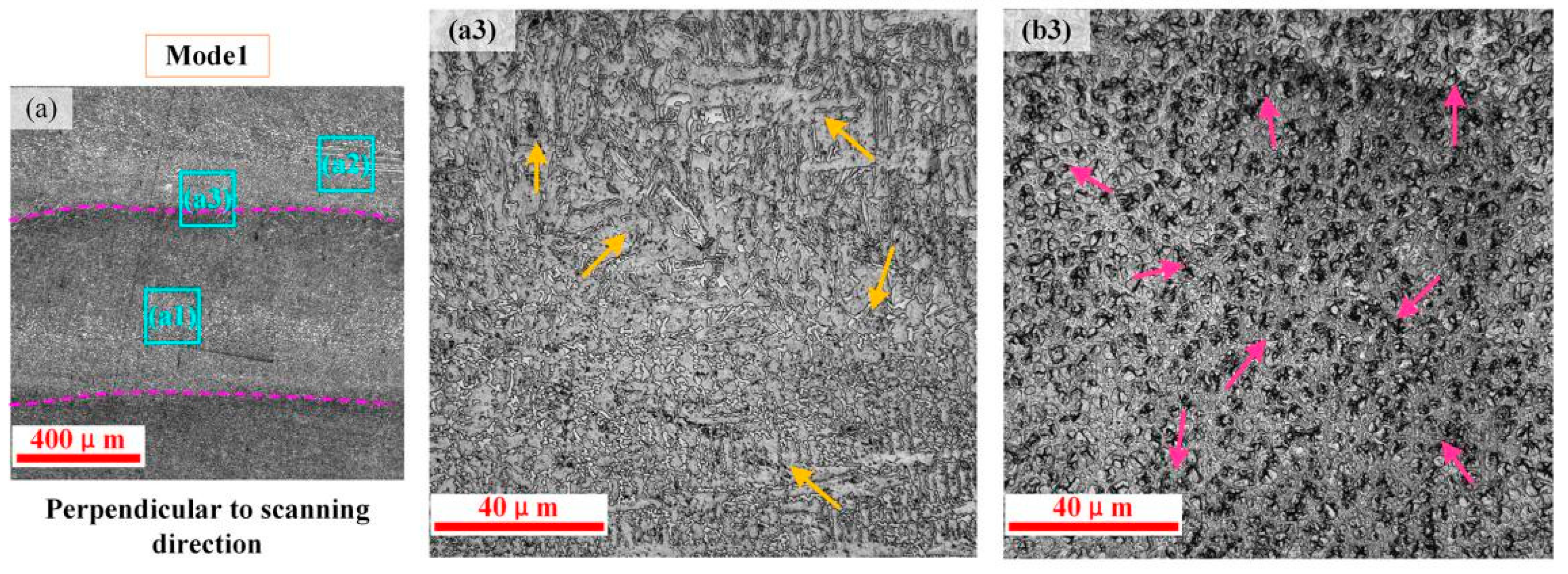 Coatings 13 00842 g007b
