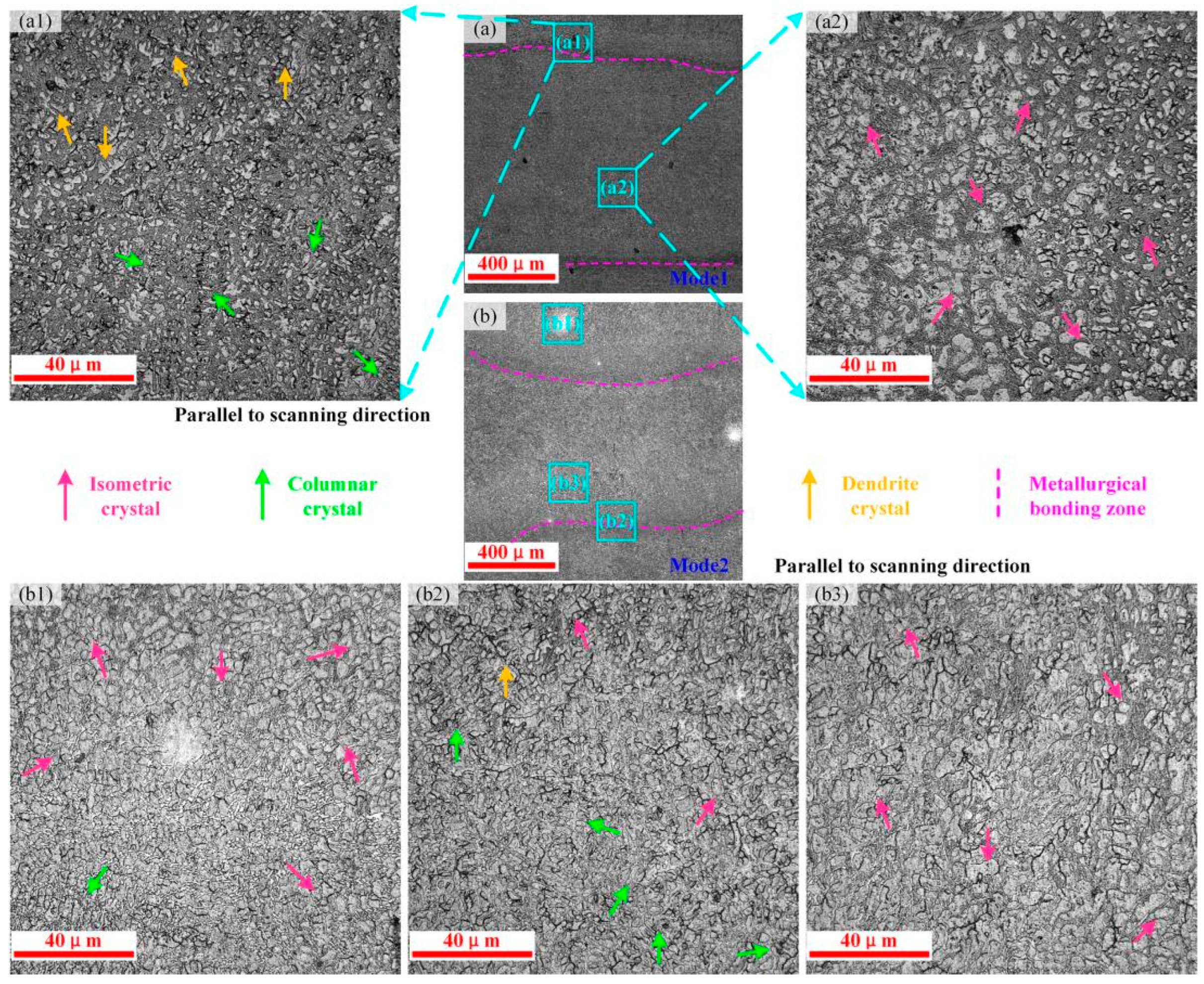 Coatings 13 00842 g008