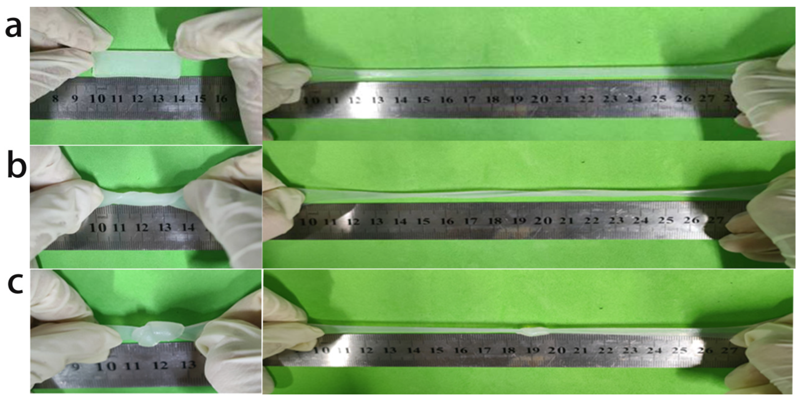 Coatings 13 00843 g005