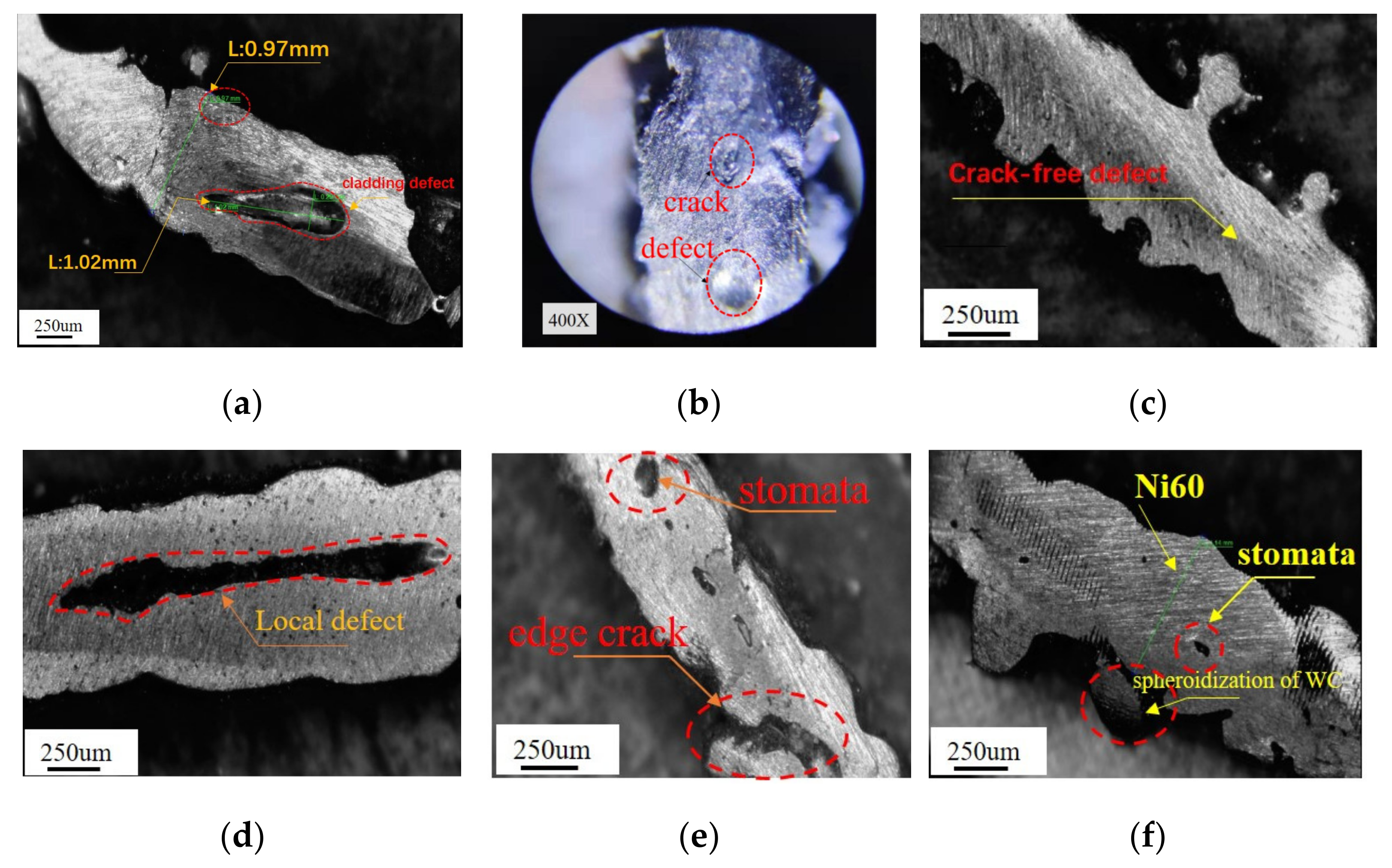 Coatings 13 00845 g011