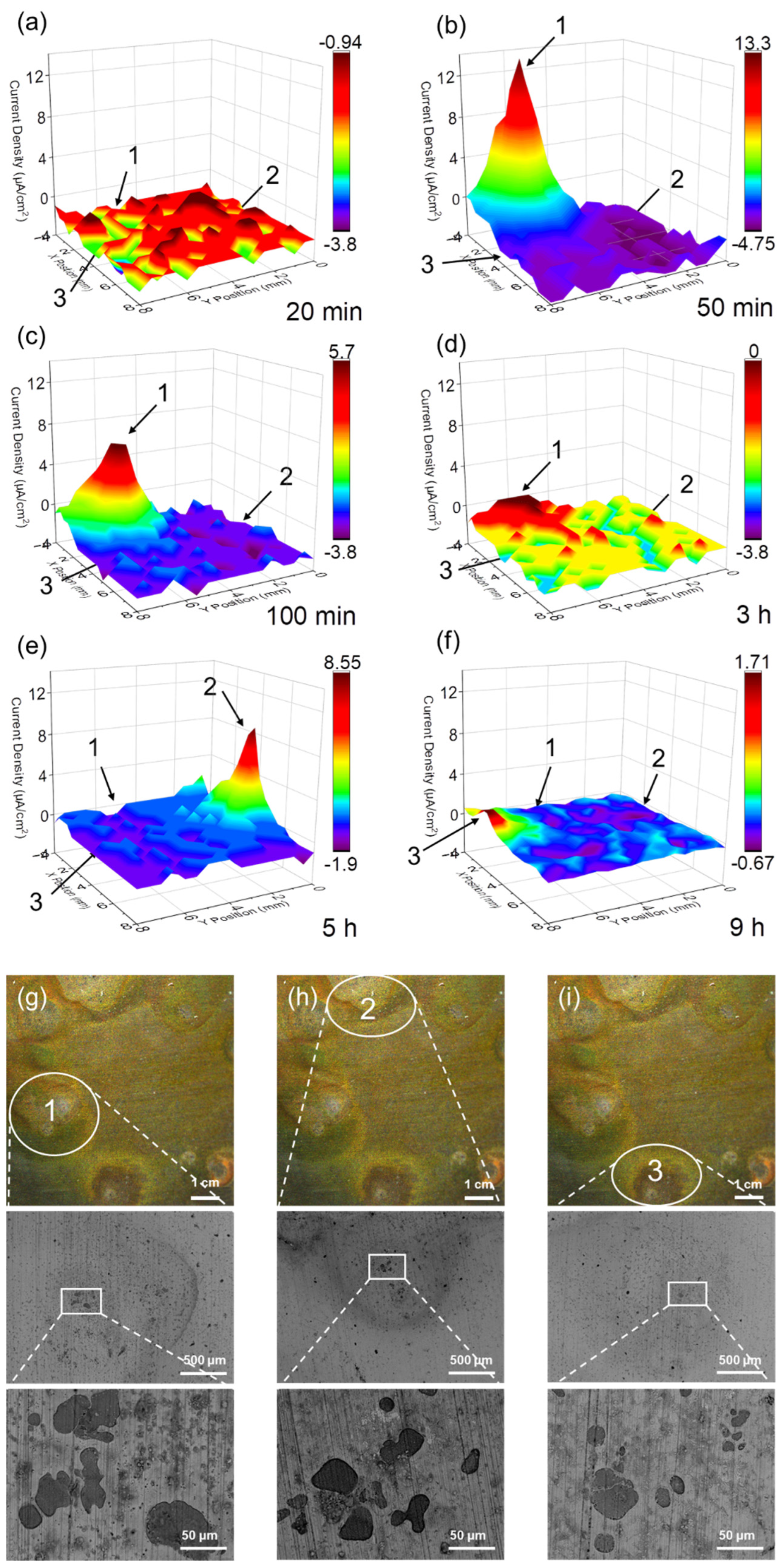 Coatings 13 00846 g001 Coatings 13 00846 g001