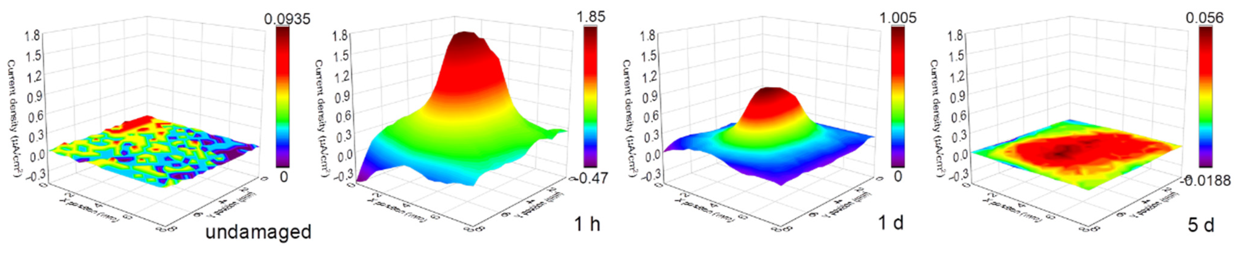 Coatings 13 00846 g002 Coatings 13 00846 g002