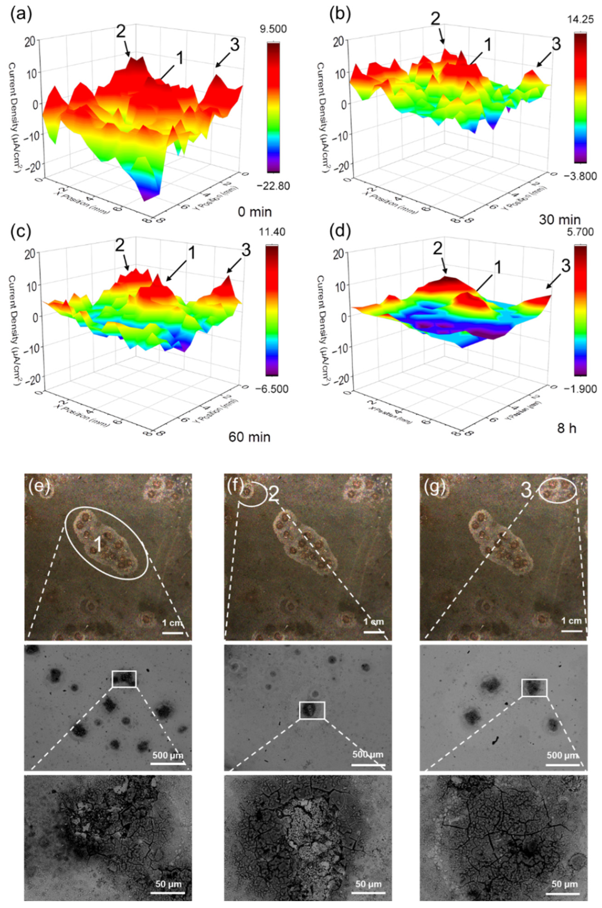 Coatings 13 00846 g003 Coatings 13 00846 g003