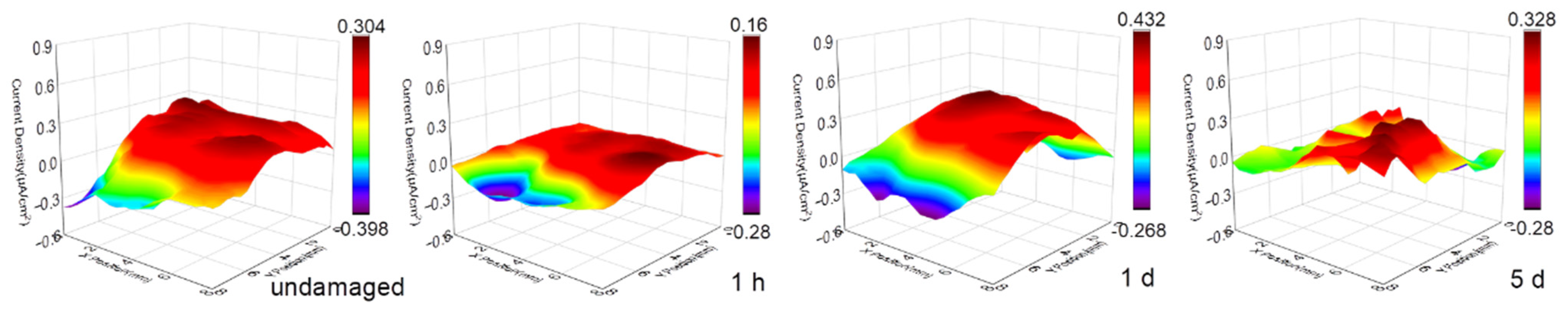 Coatings 13 00846 g004 Coatings 13 00846 g004