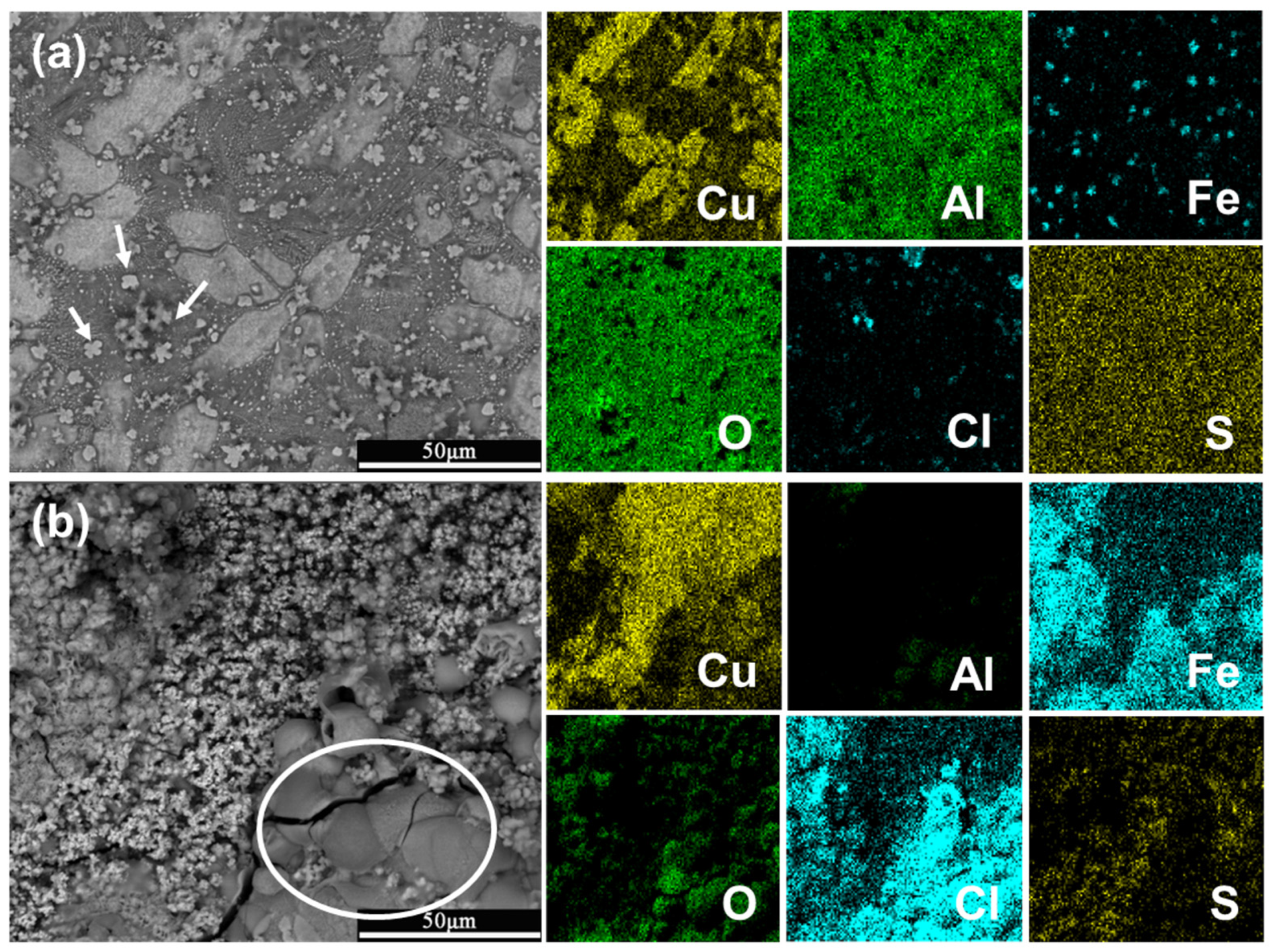 Coatings 13 00846 g009 Coatings 13 00846 g009