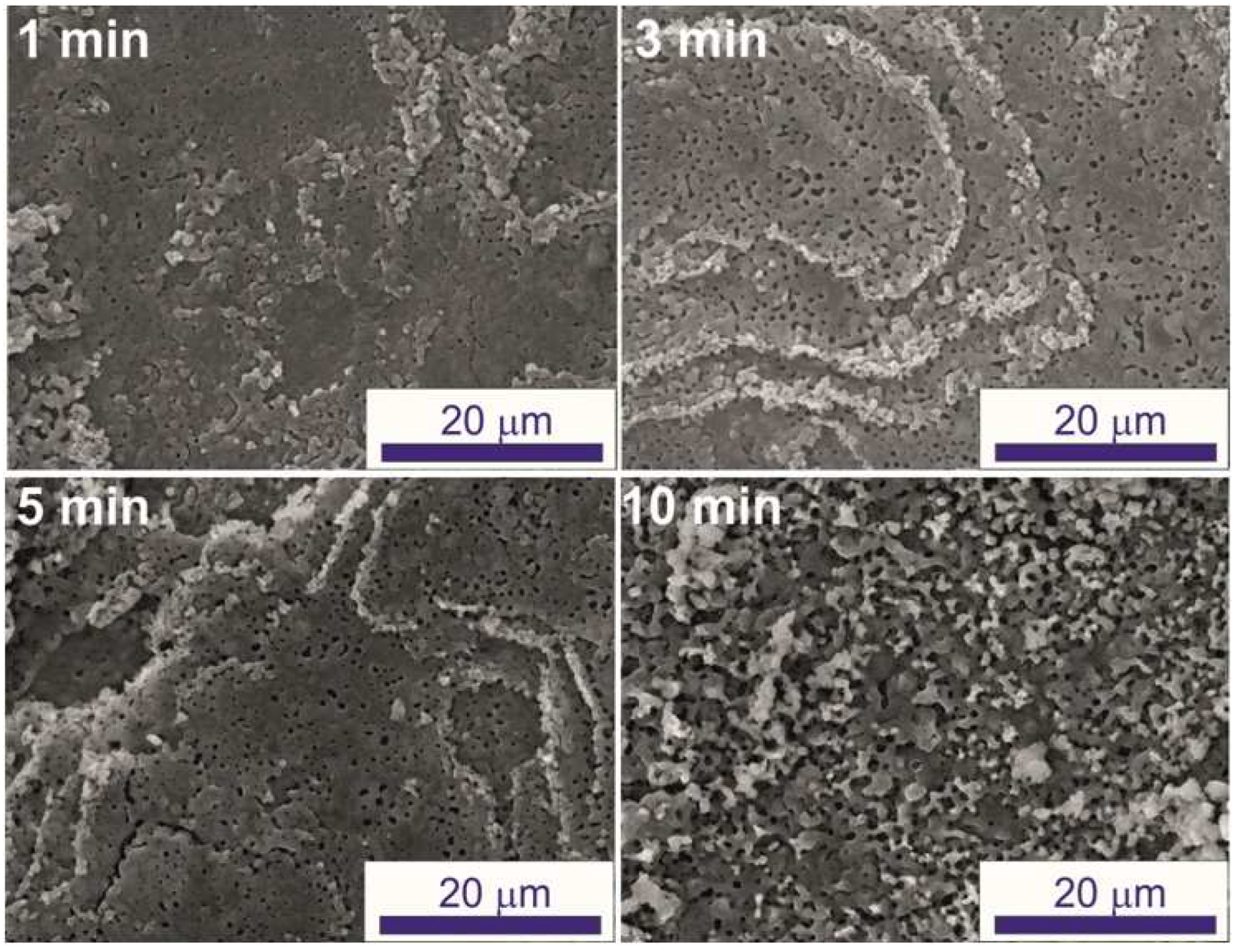 Coatings 13 00848 g002 Coatings 13 00848 g002