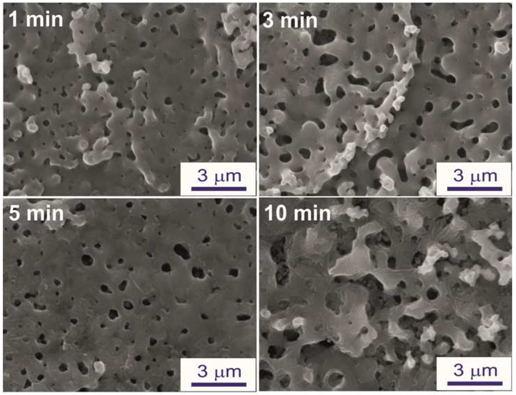 Coatings 13 00848 g003 Coatings 13 00848 g003