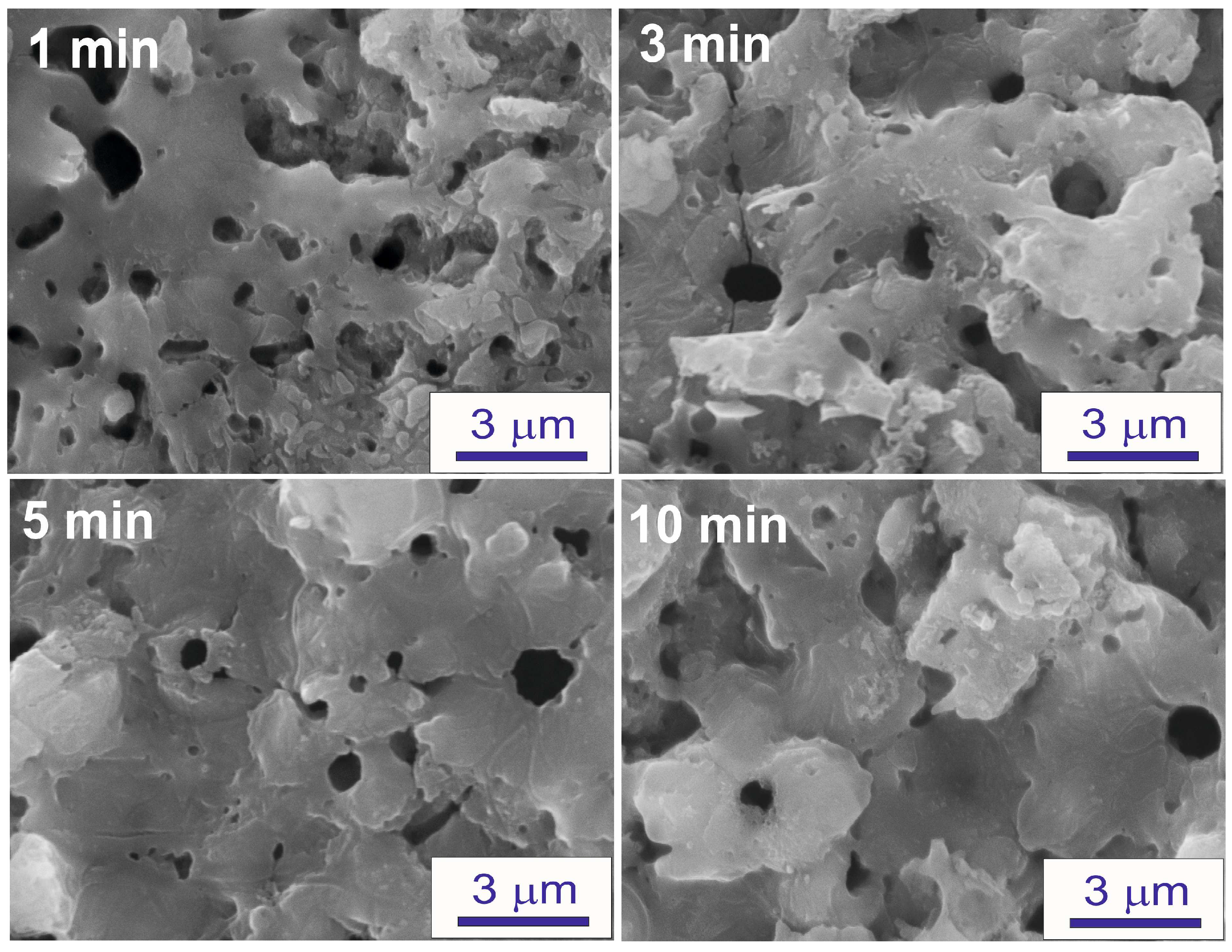 Coatings 13 00848 g005 Coatings 13 00848 g005