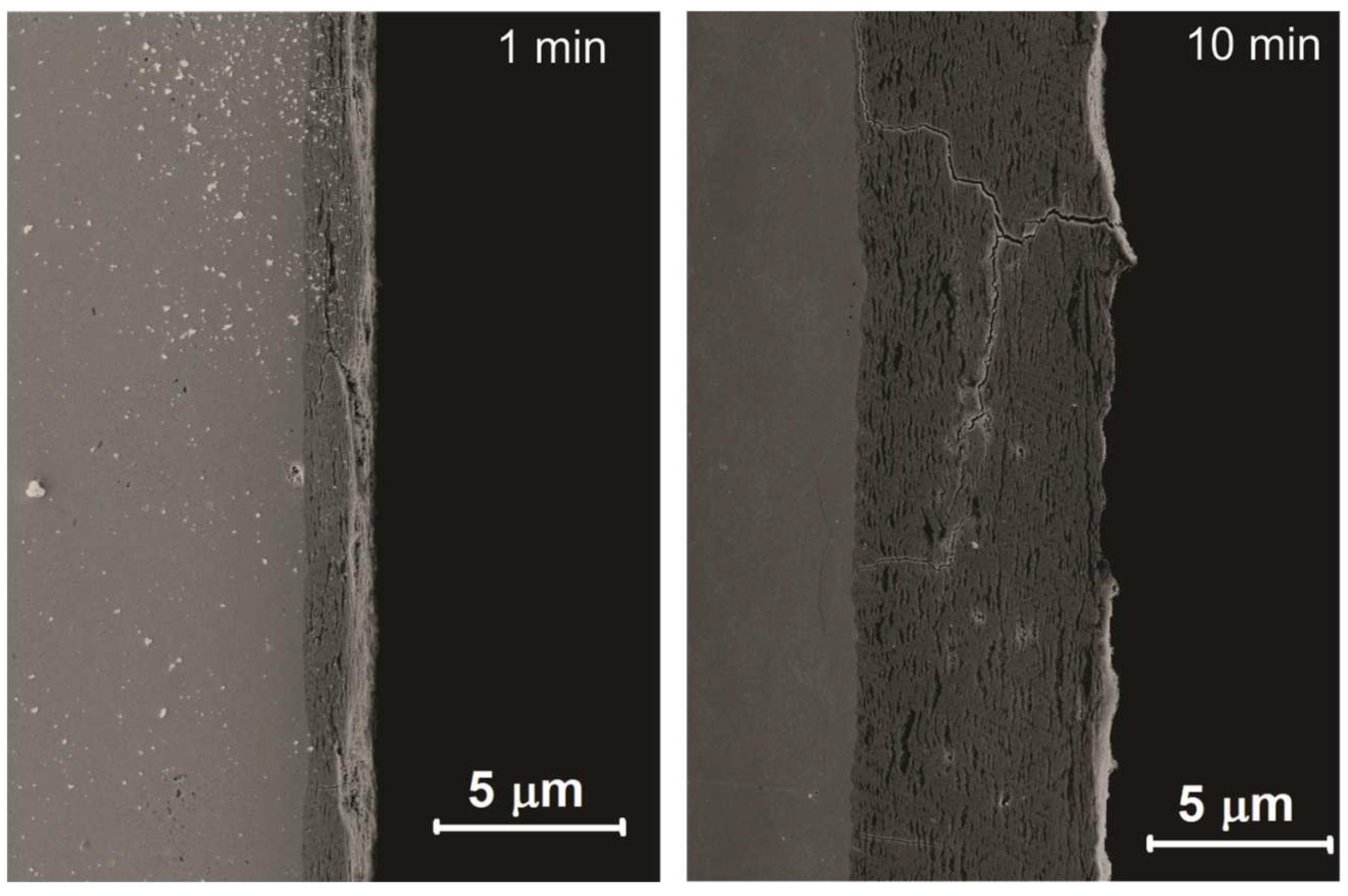 Coatings 13 00848 g006 Coatings 13 00848 g006