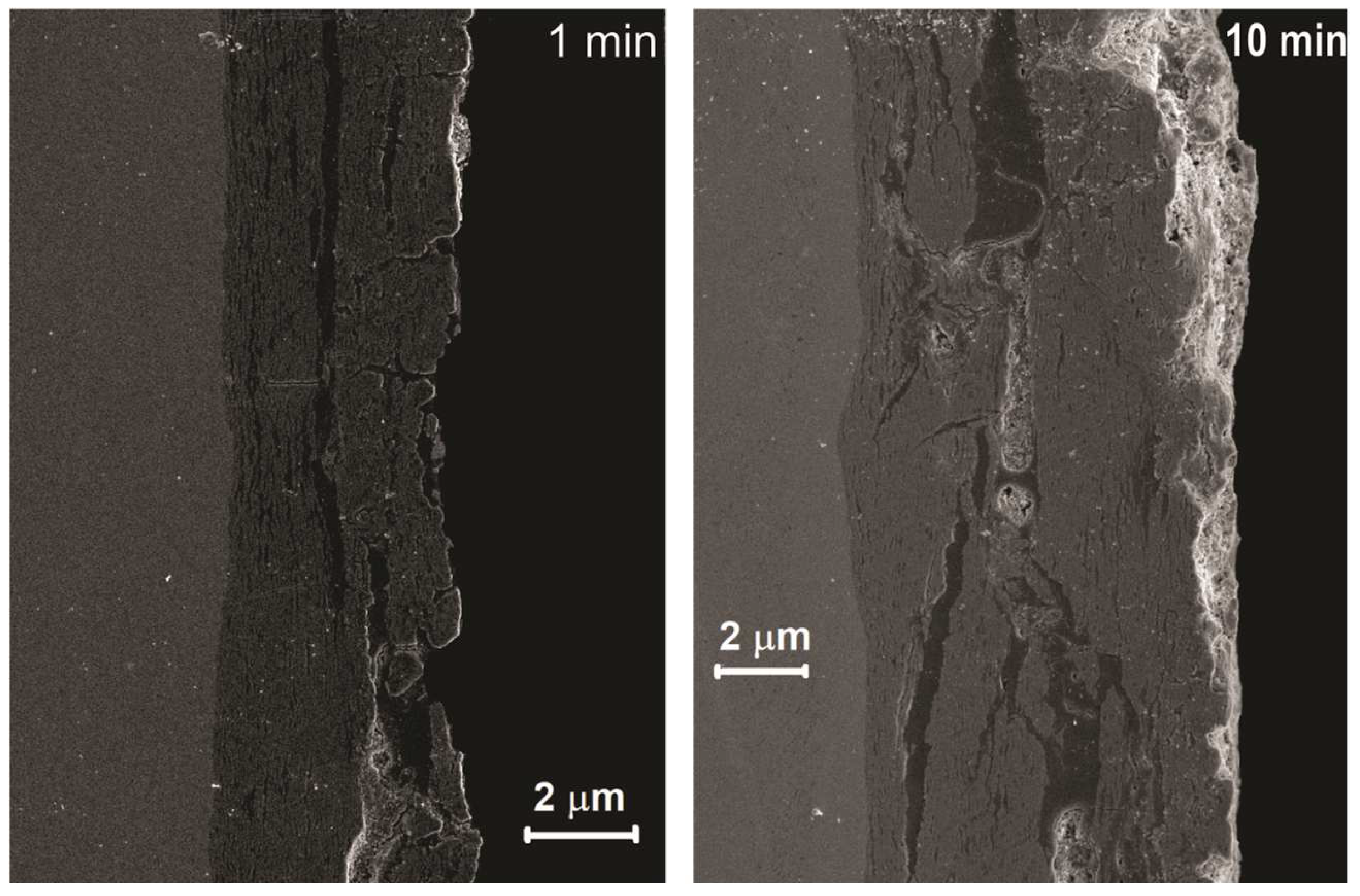 Coatings 13 00848 g007 Coatings 13 00848 g007