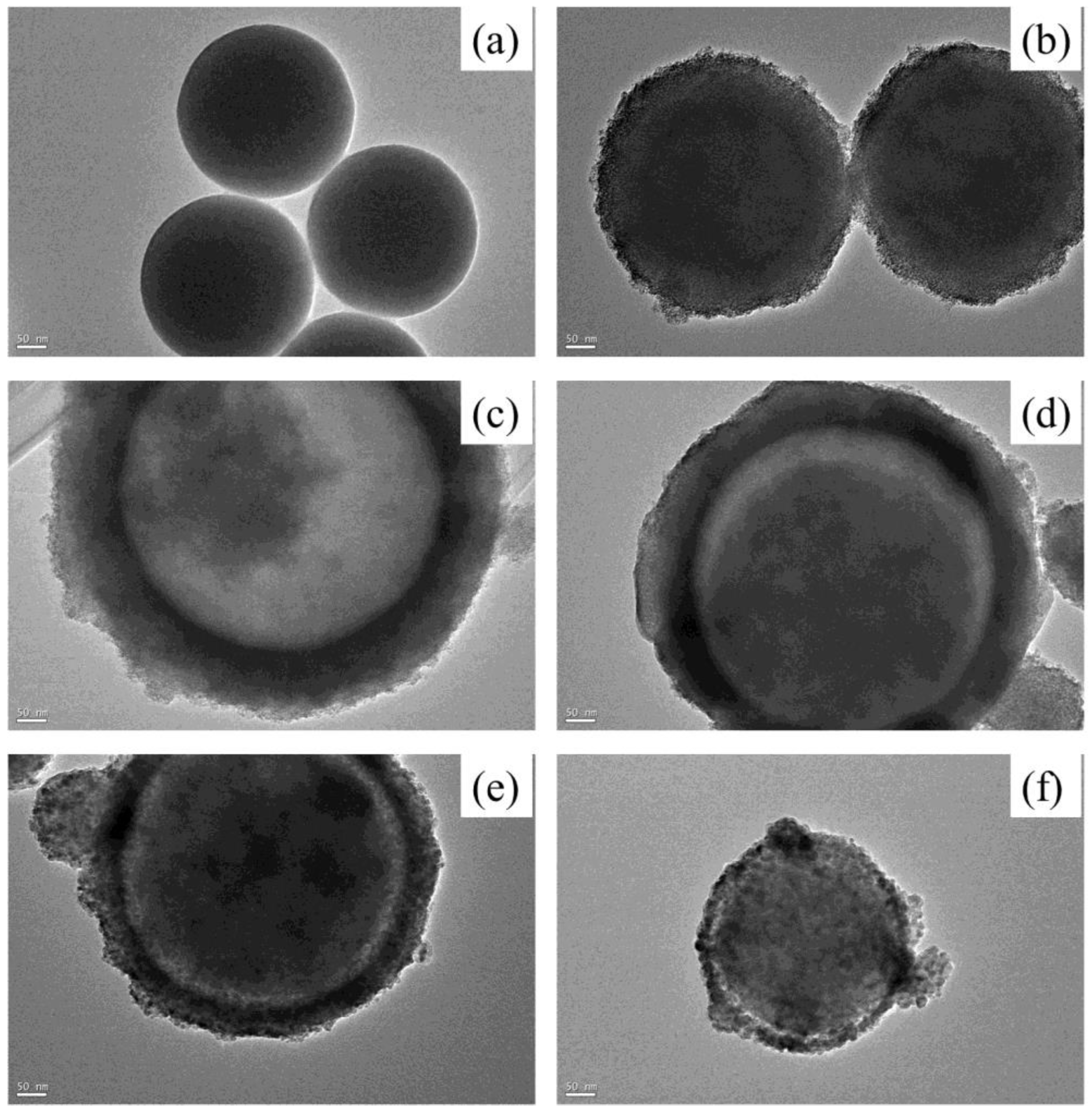 Coatings 13 00852 g004 Coatings 13 00852 g004
