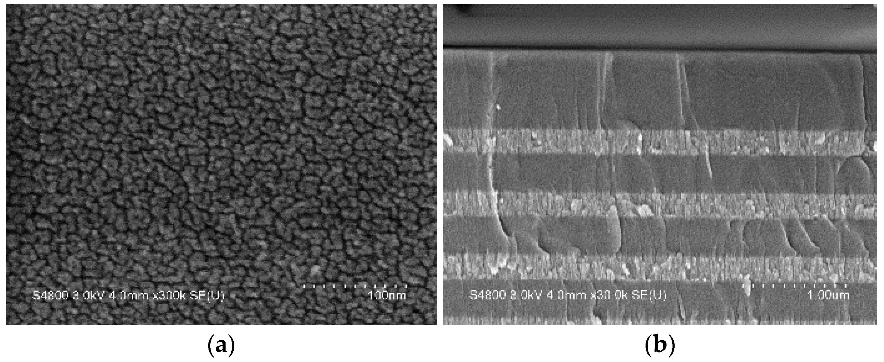 Coatings 13 00857 g012