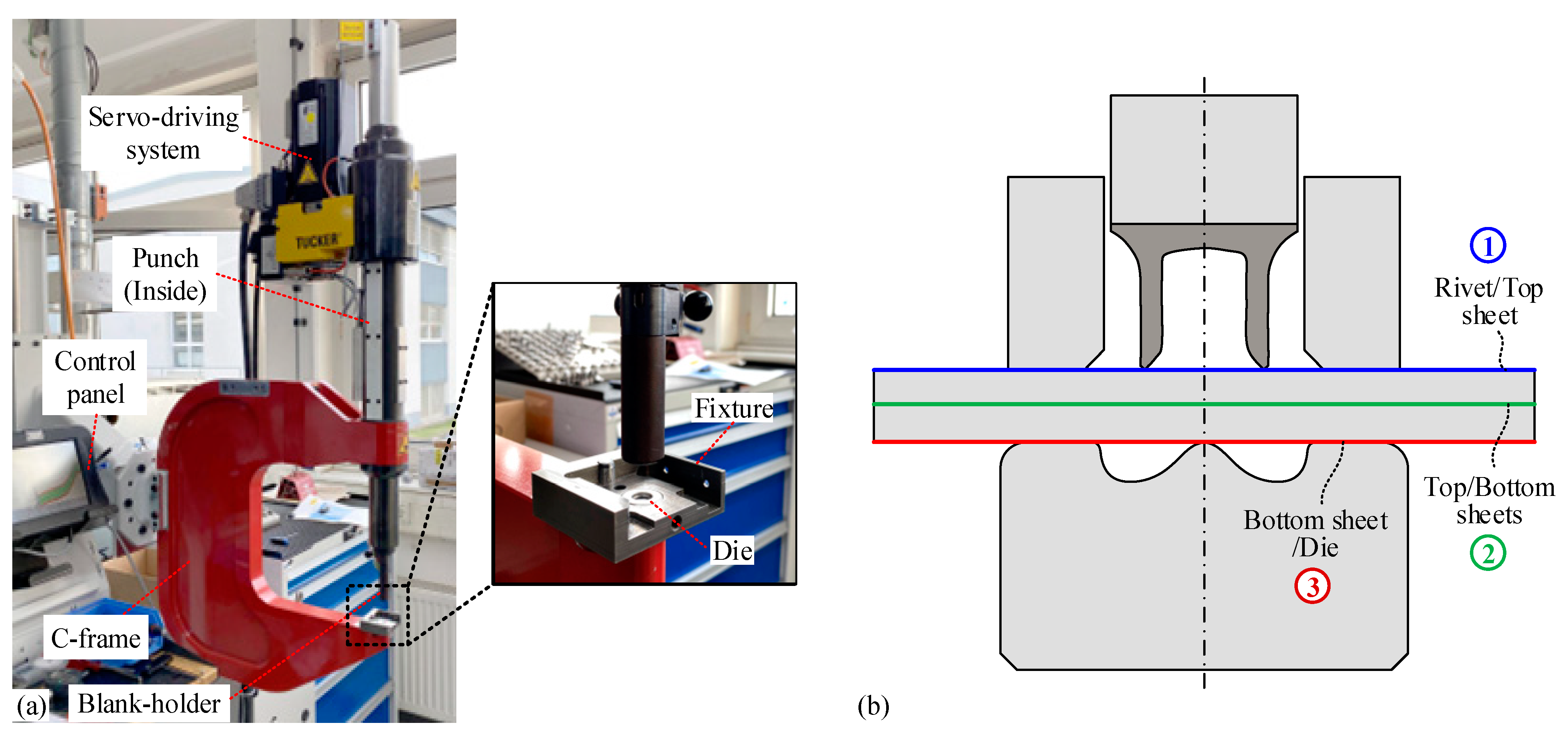 Coatings 13 00858 g003