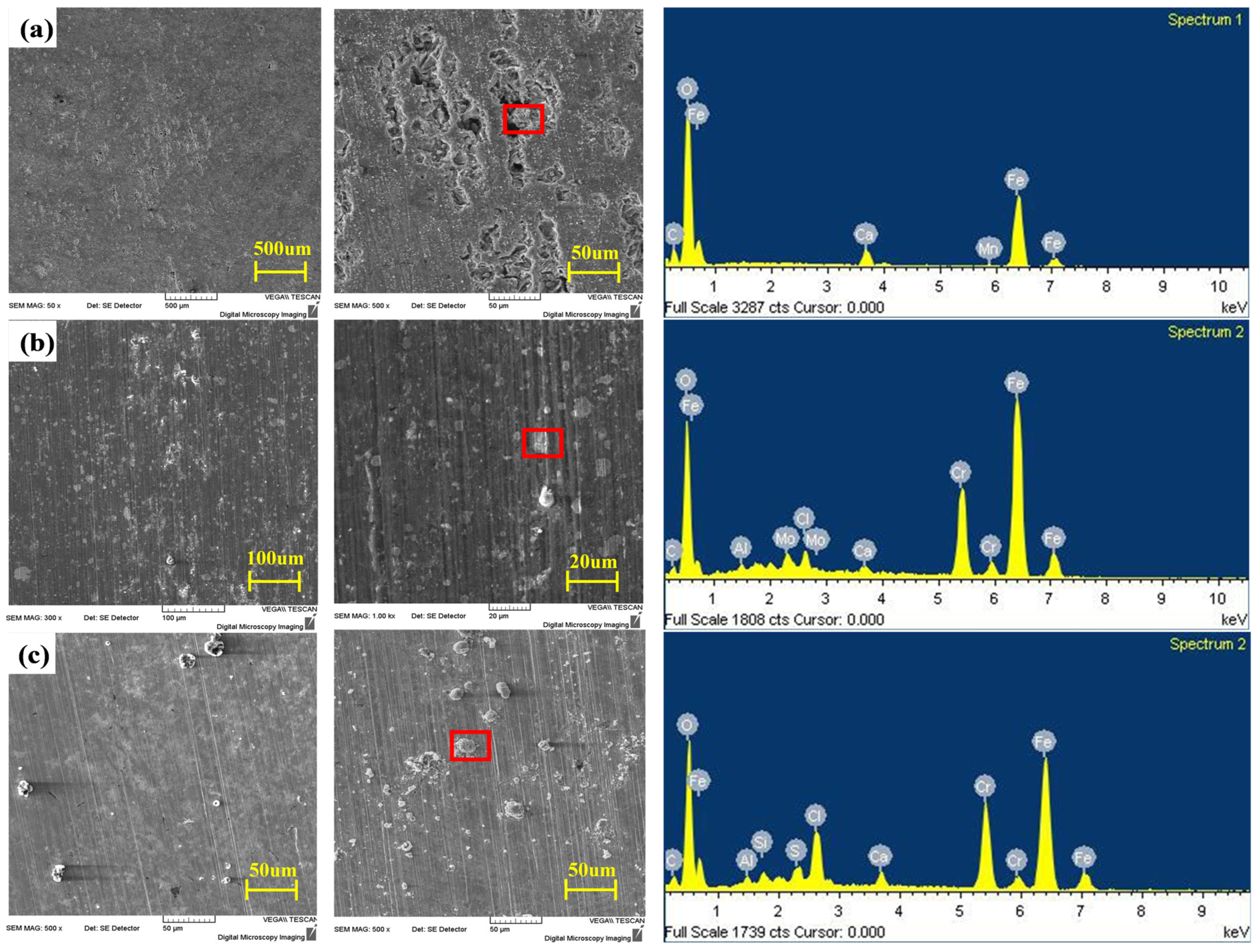 Coatings 13 00861 g004