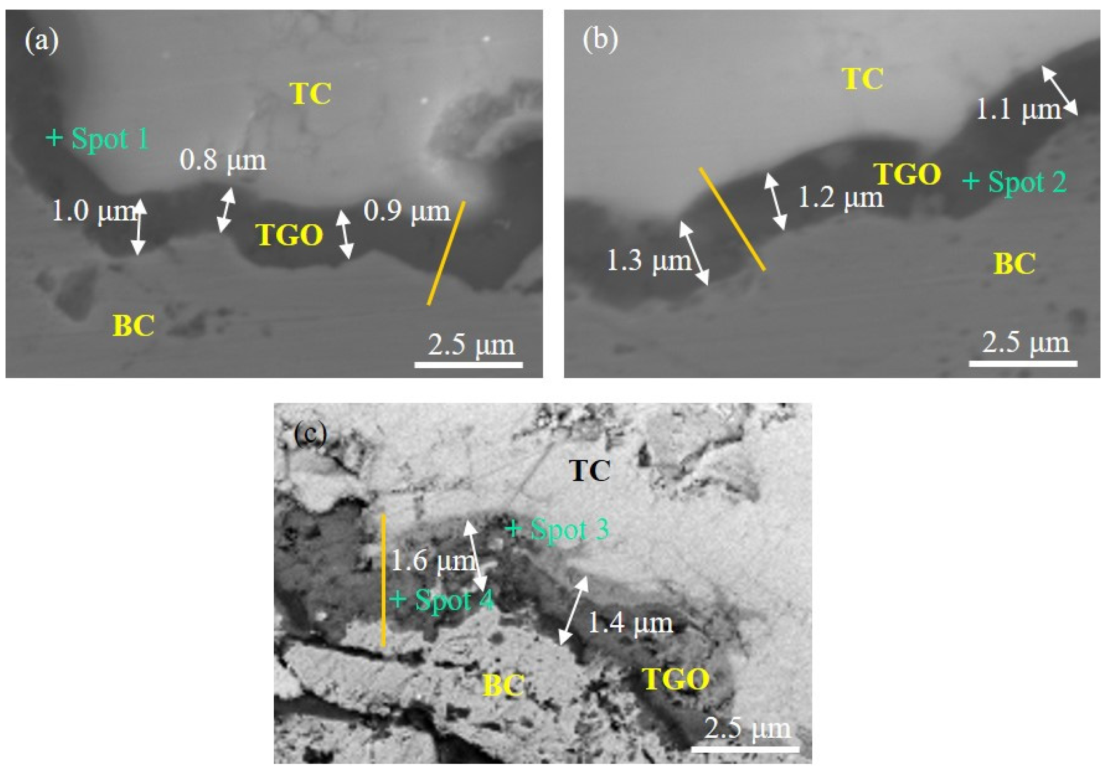 Coatings 13 00862 g003 Coatings 13 00862 g003
