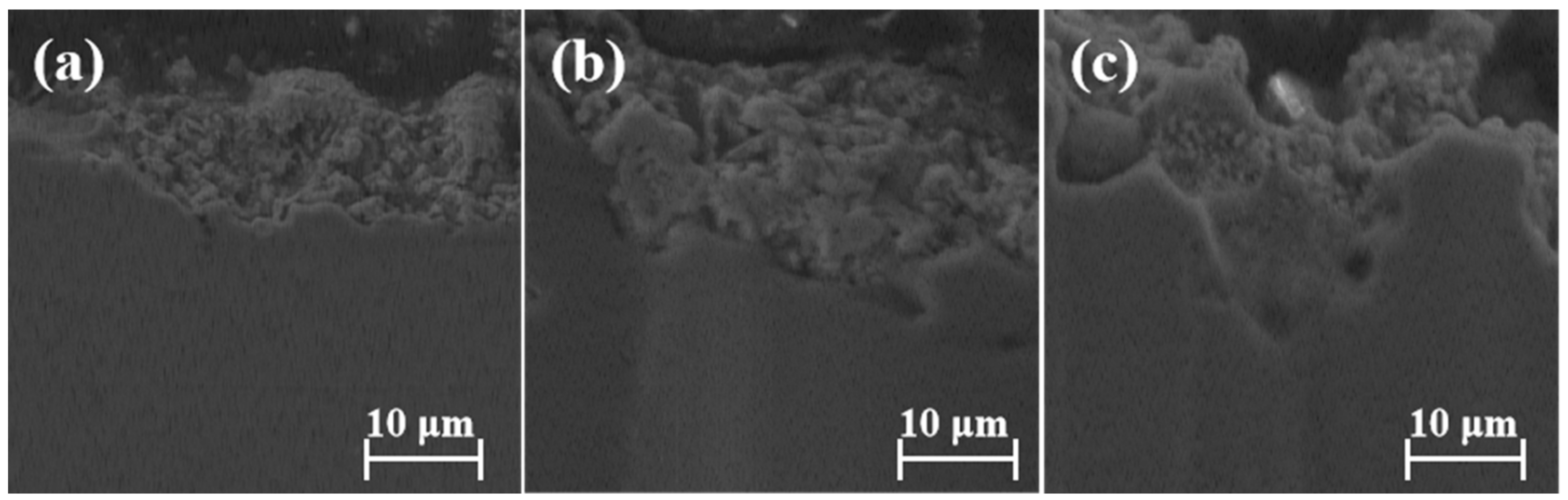 Coatings 13 00866 g007