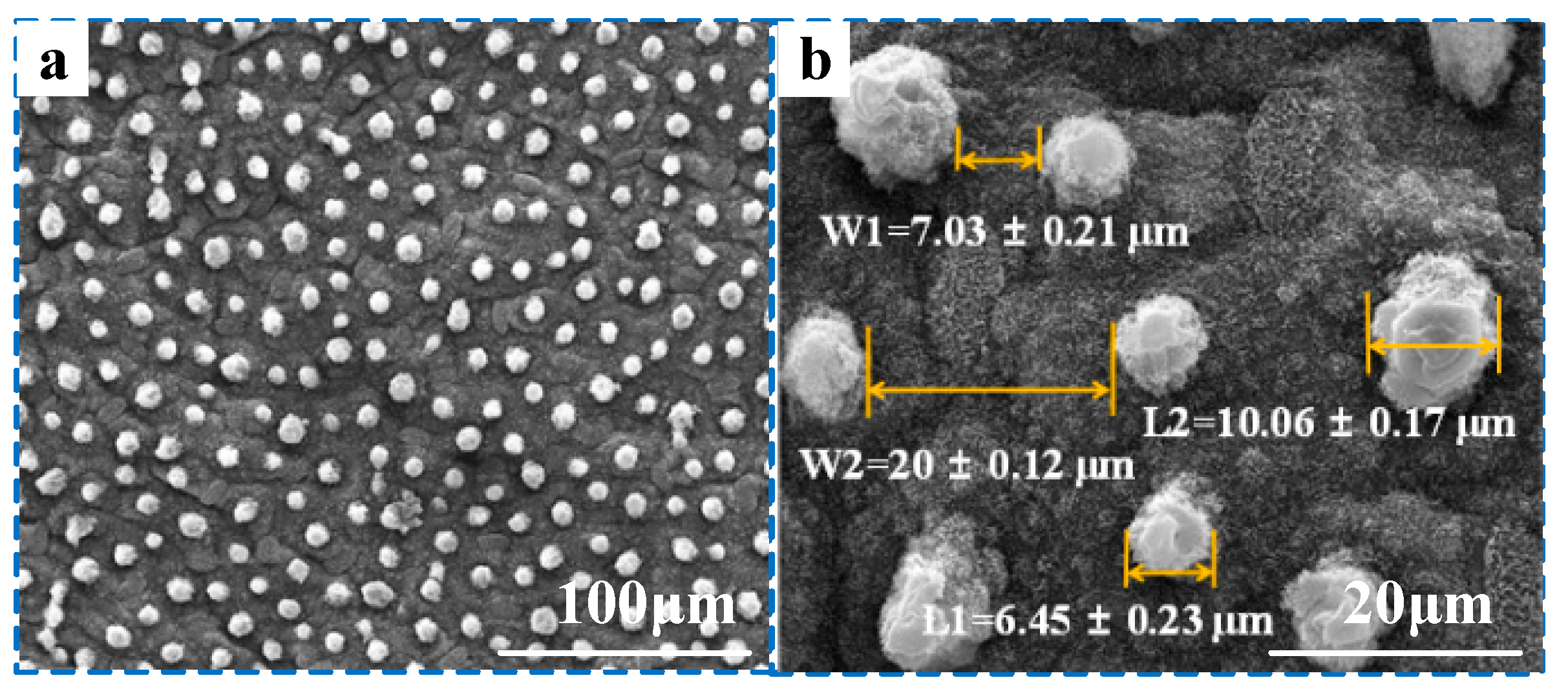 Coatings 13 00867 g002