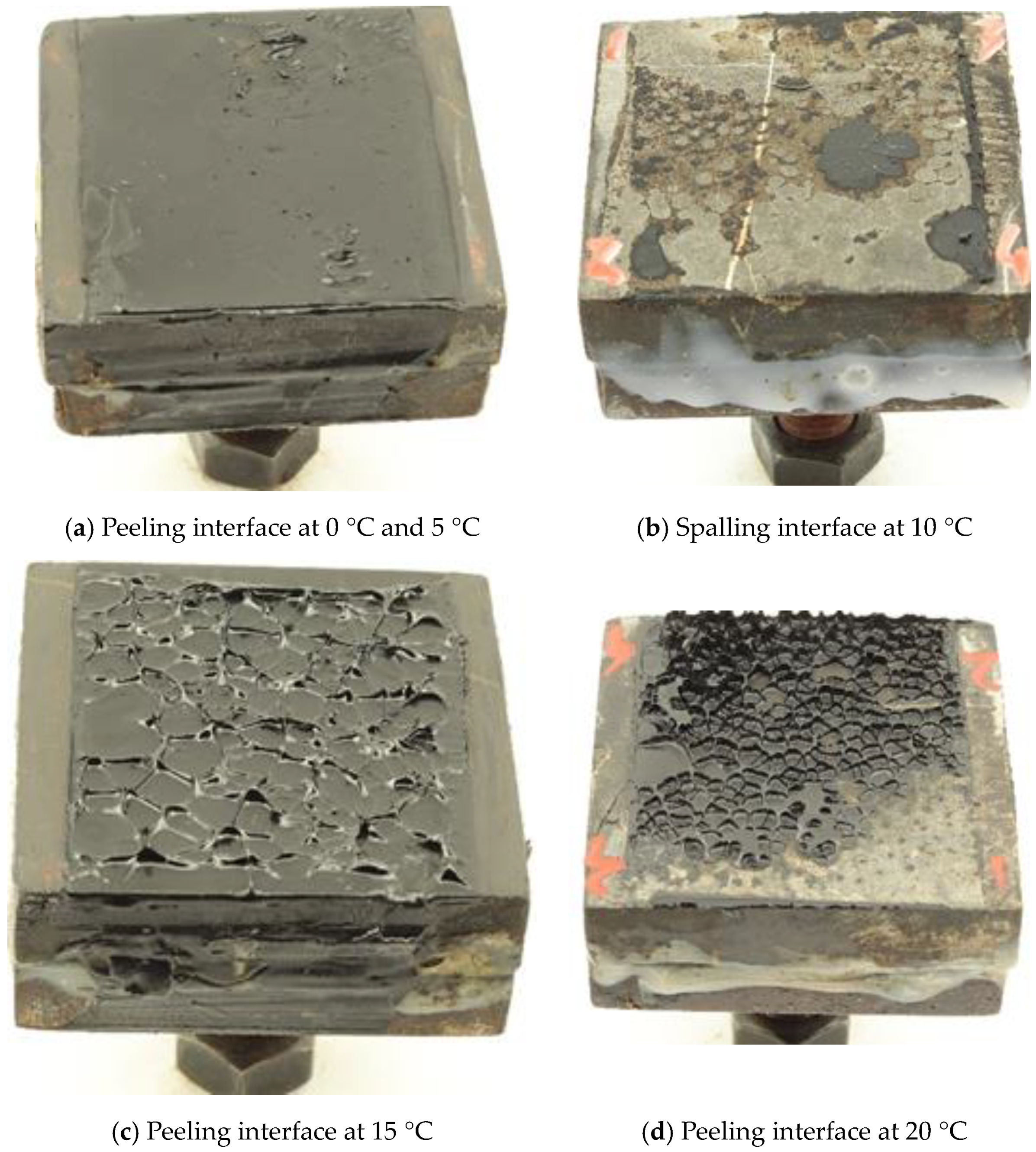 Coatings 13 00868 g008