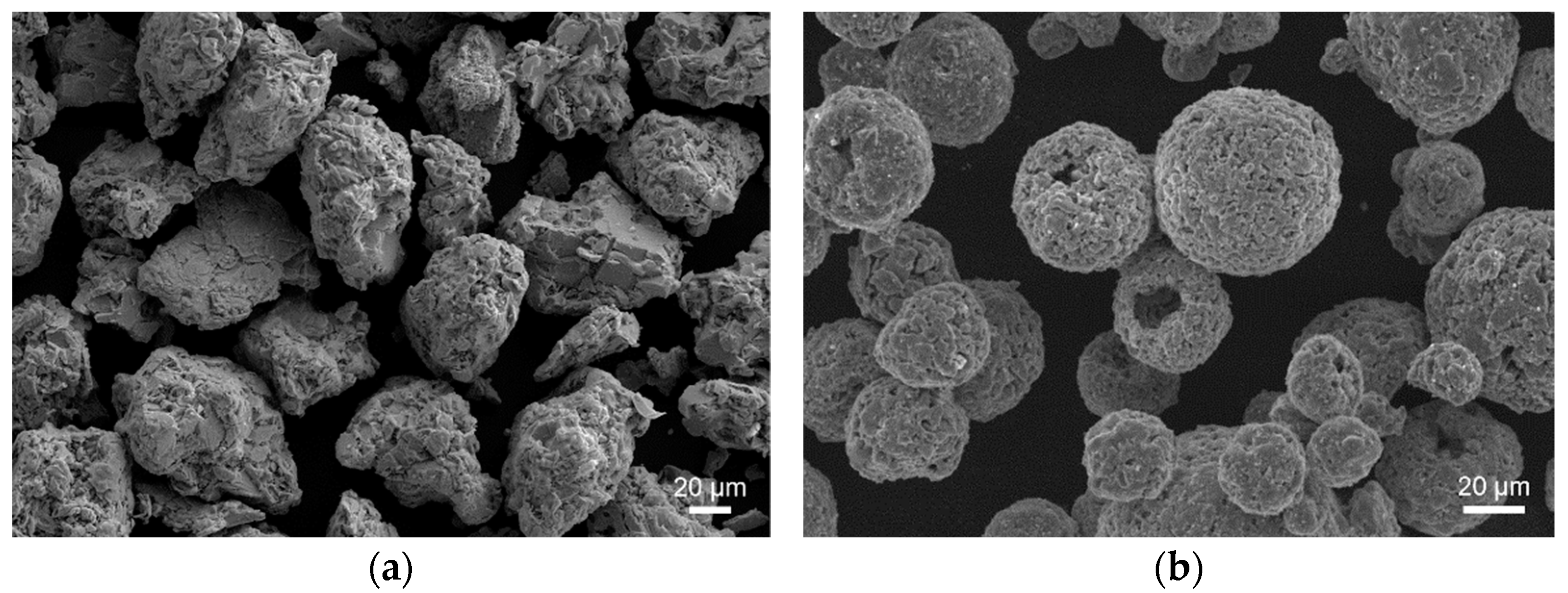 Coatings 13 00869 g003 Coatings 13 00869 g003