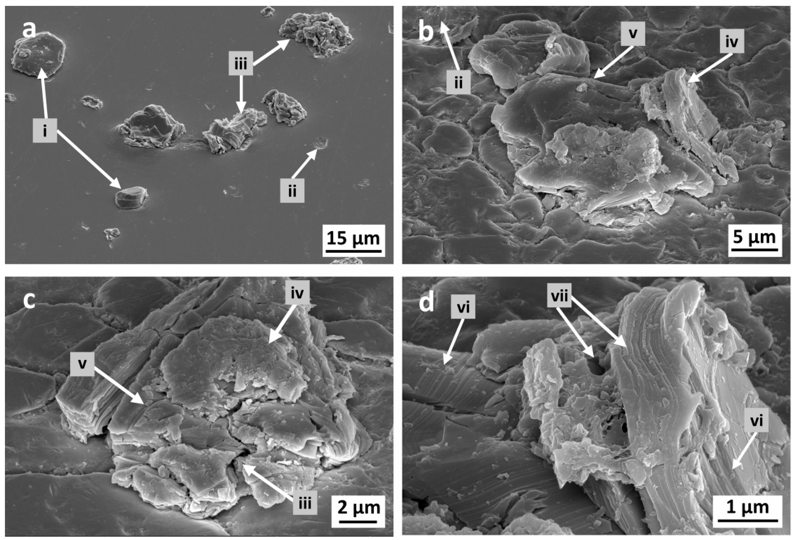 Coatings 13 00869 g005 Coatings 13 00869 g005
