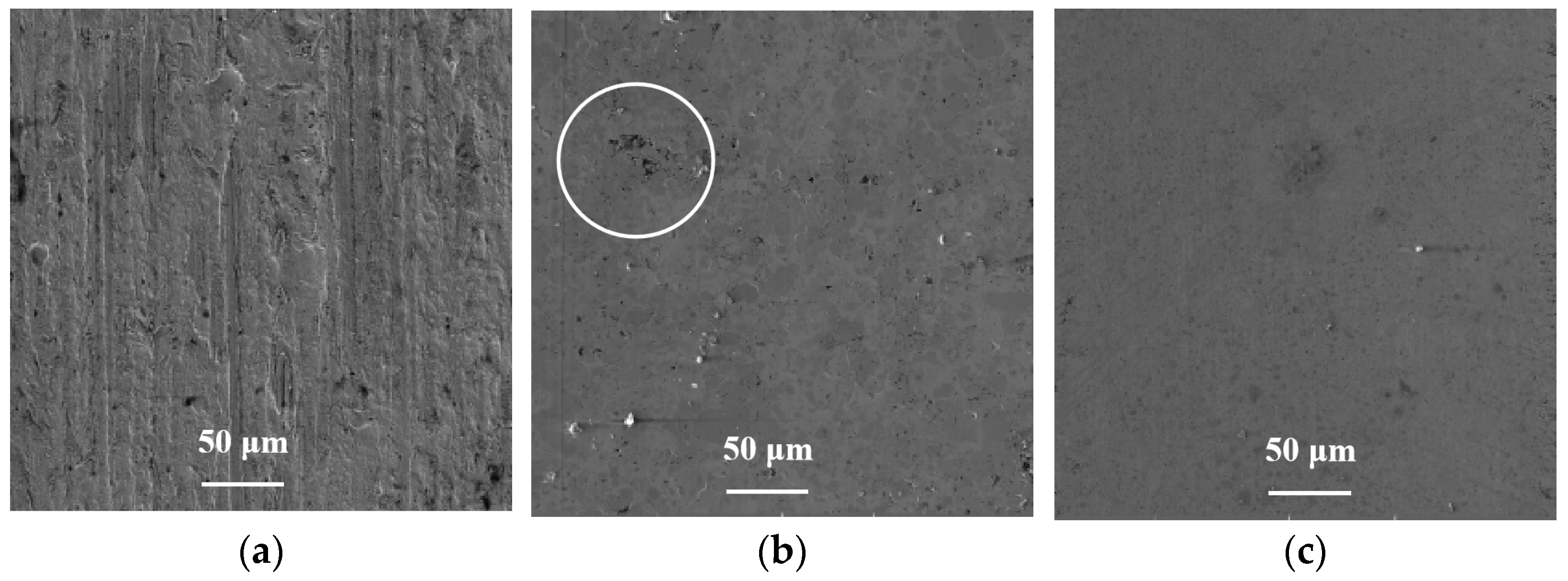 Coatings 13 00872 g011 Coatings 13 00872 g011