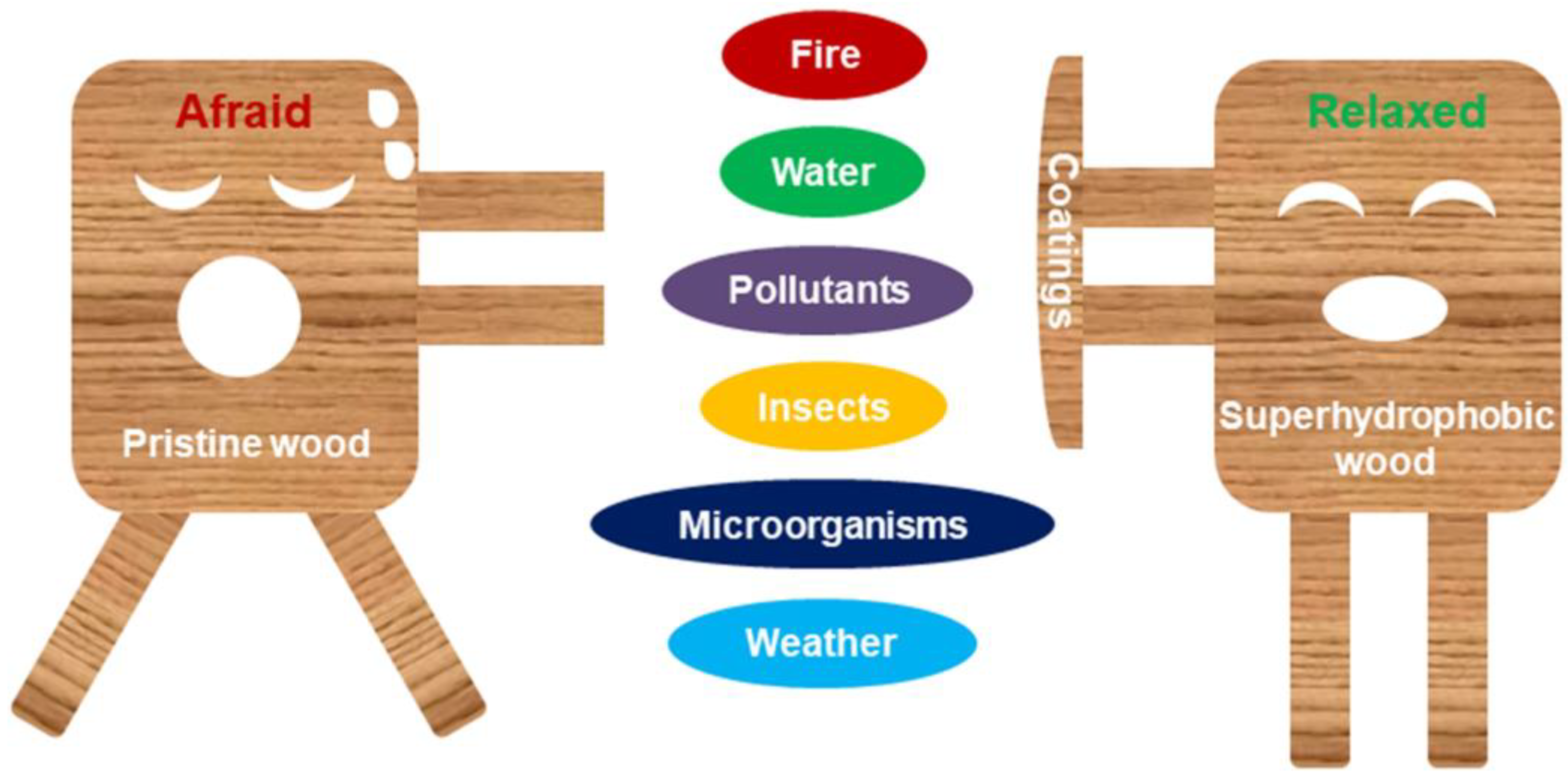 Coatings 13 00877 g001 Coatings 13 00877 g001
