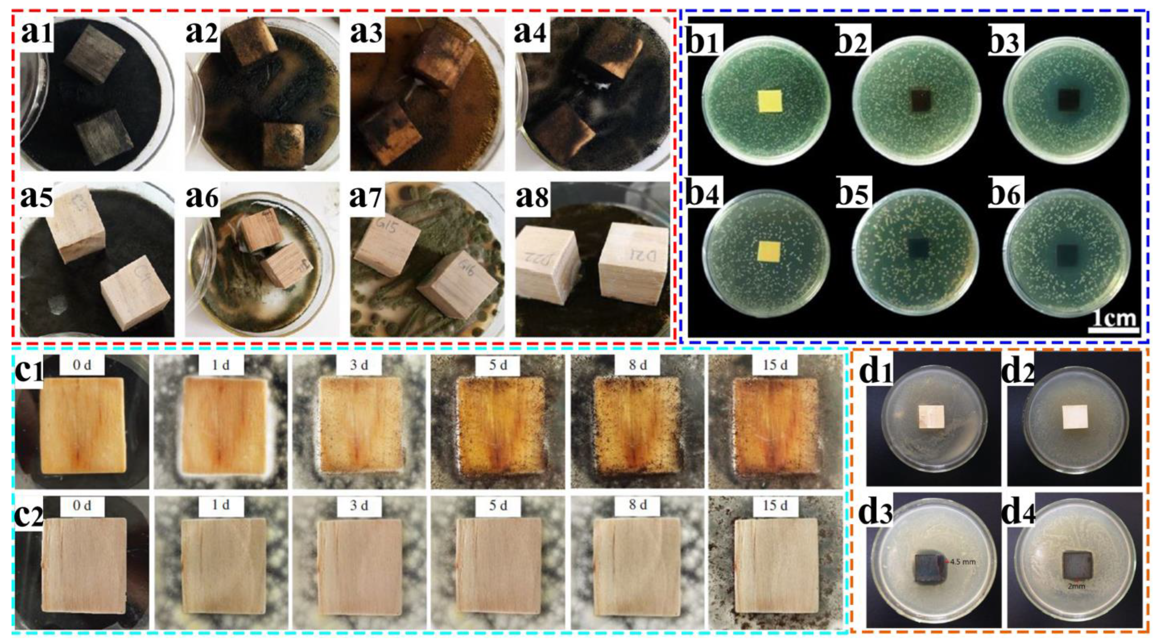 Coatings 13 00877 g009 Coatings 13 00877 g009
