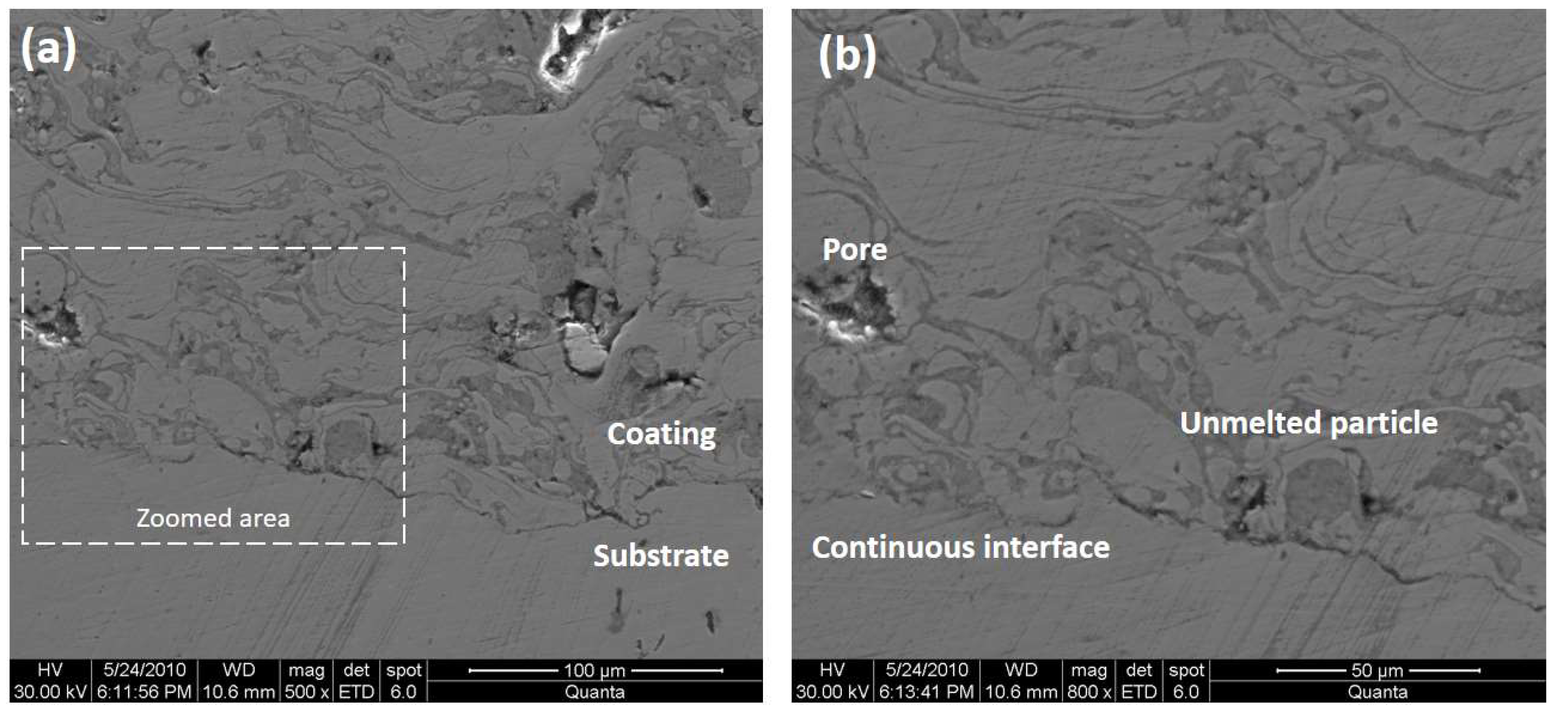 Coatings 13 00878 g005