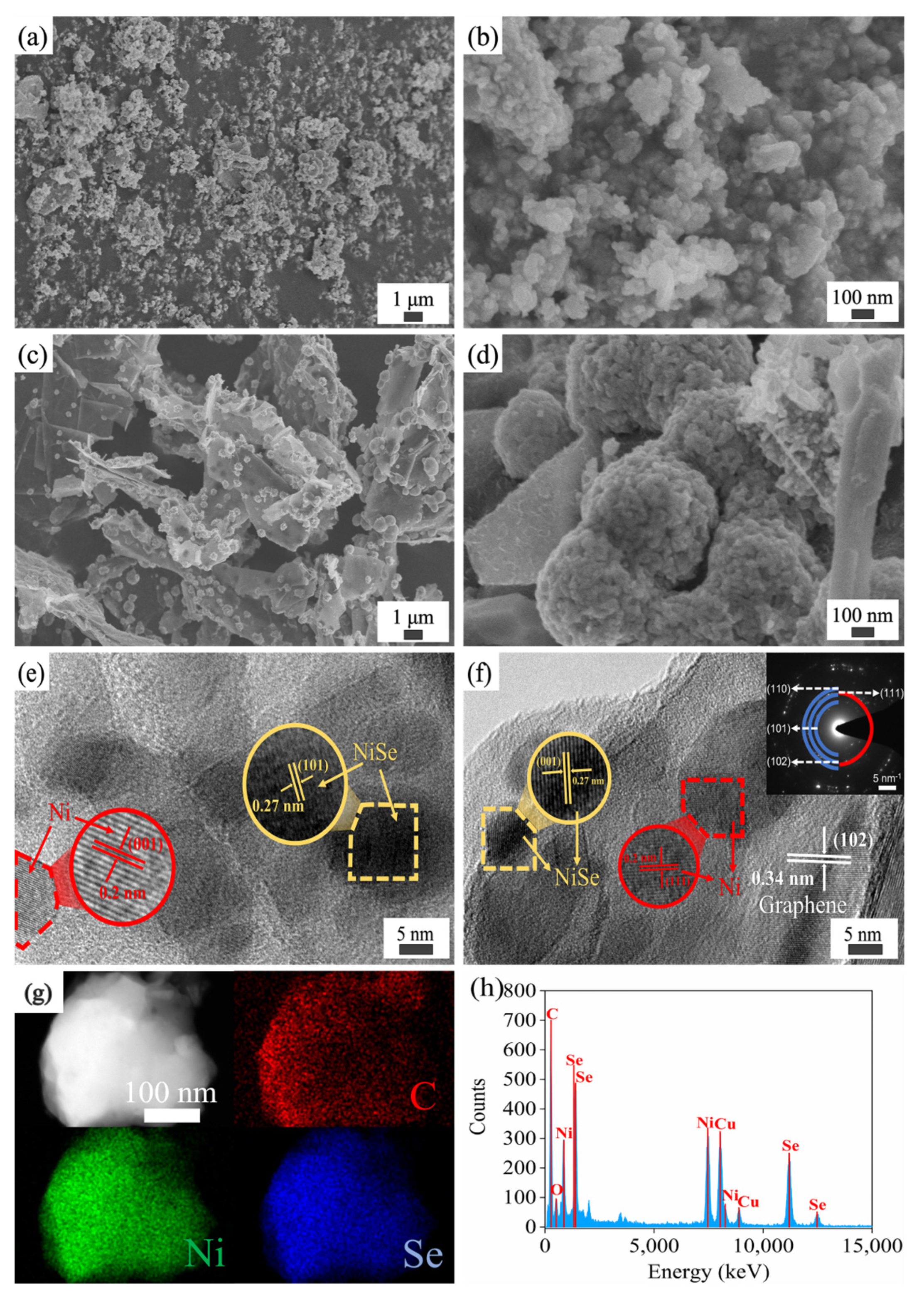 Coatings 13 00885 g002 Coatings 13 00885 g002