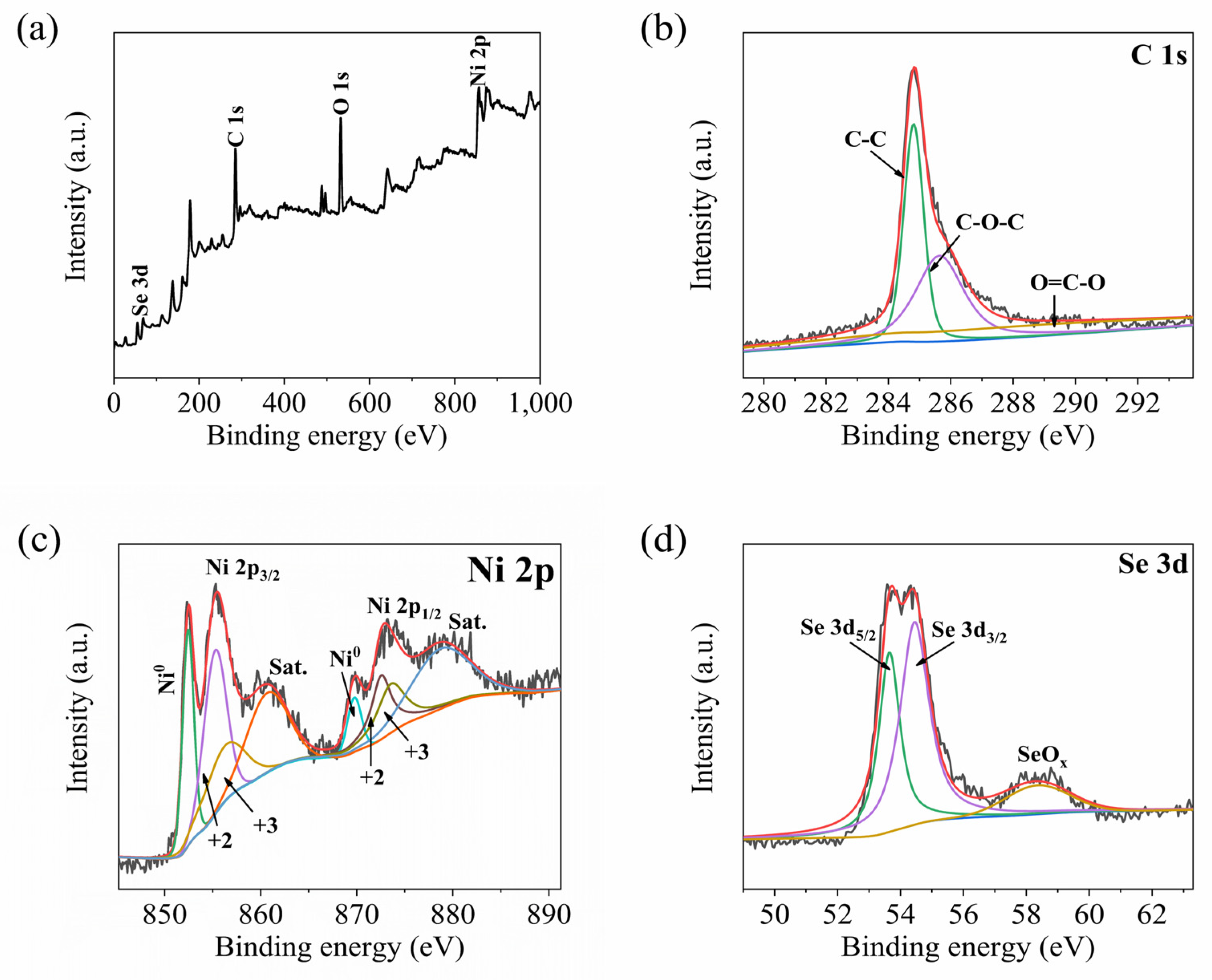 Coatings 13 00885 g004 Coatings 13 00885 g004