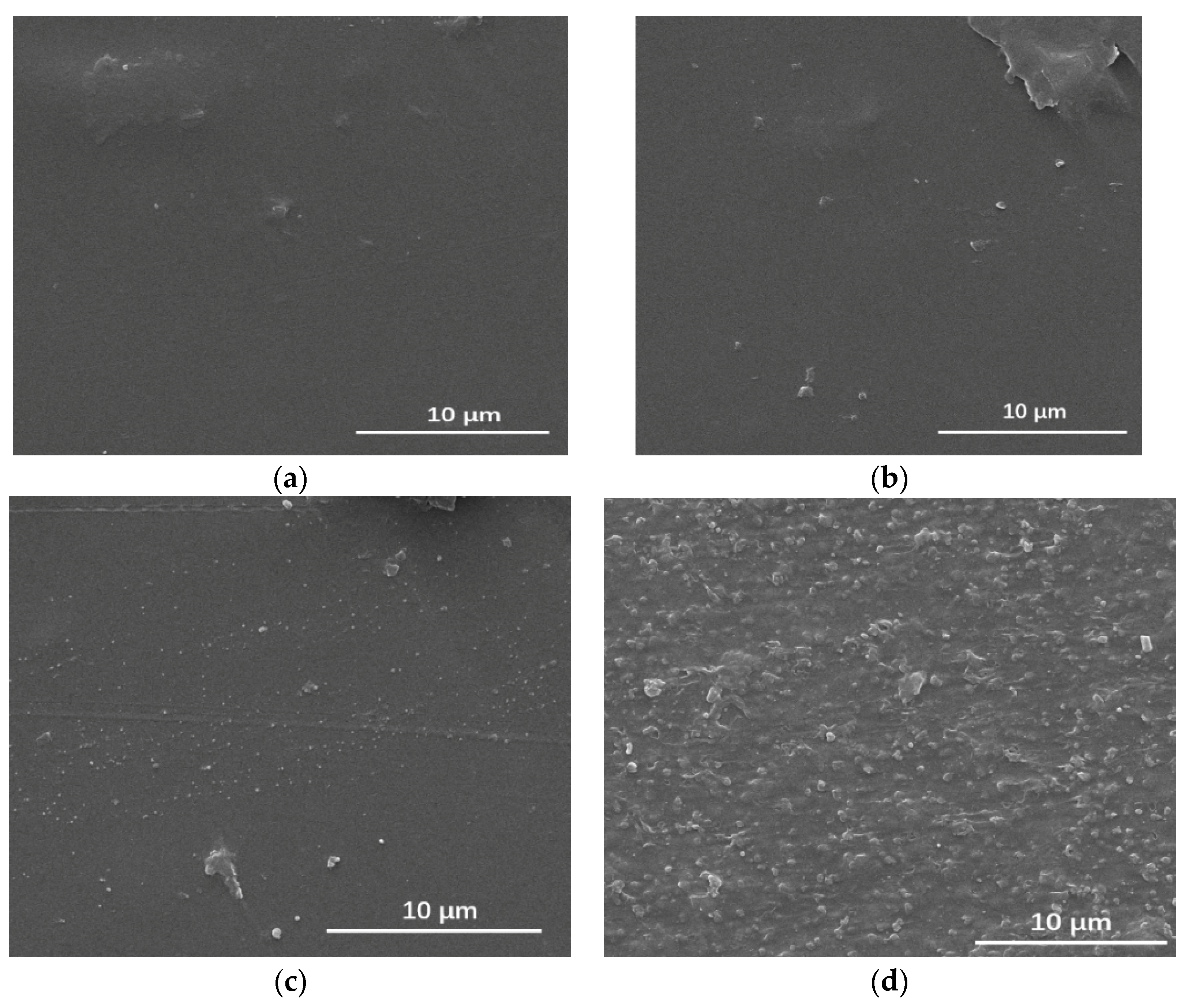 Coatings 13 00887 g005 Coatings 13 00887 g005