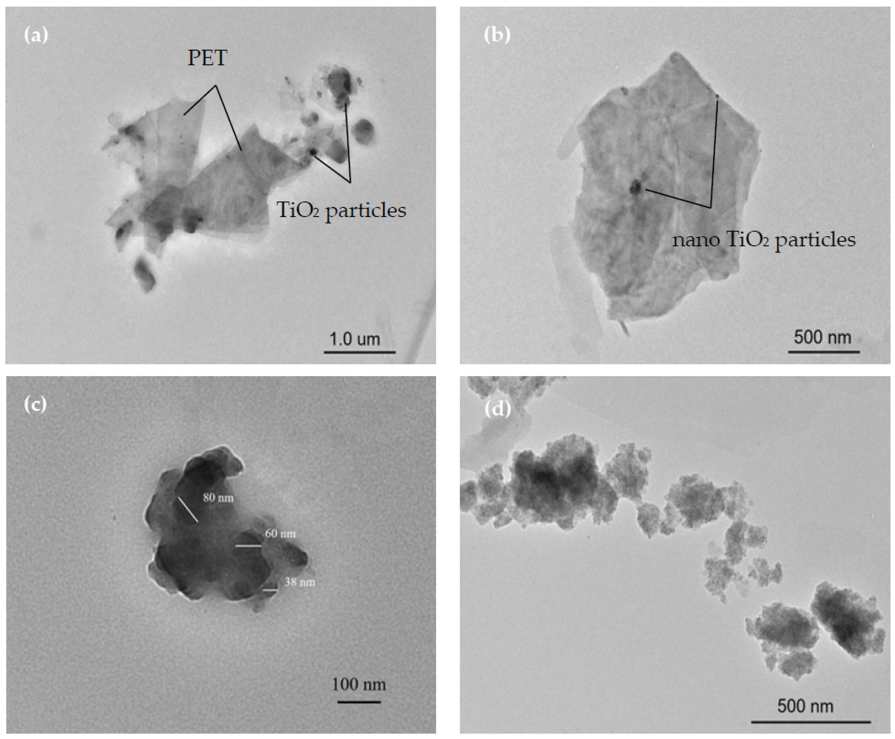Coatings 13 00887 g006 Coatings 13 00887 g006