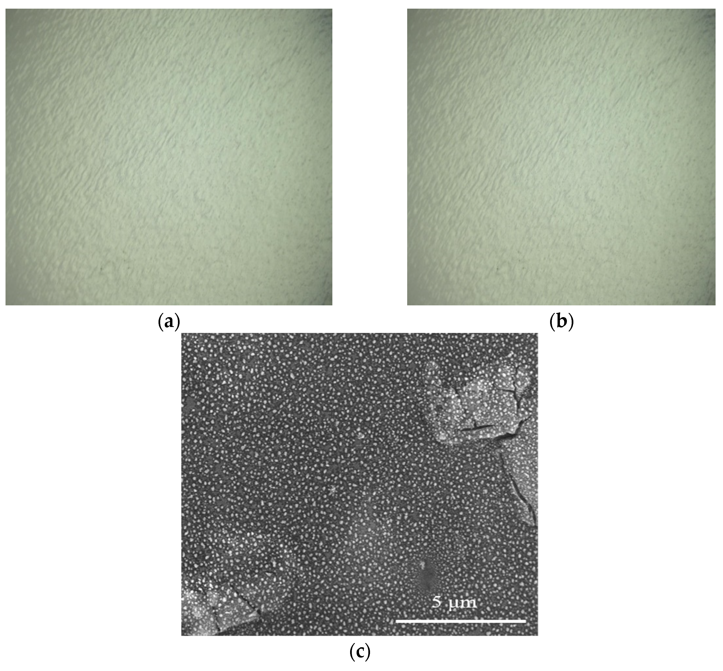 Coatings 13 00887 g011 Coatings 13 00887 g011