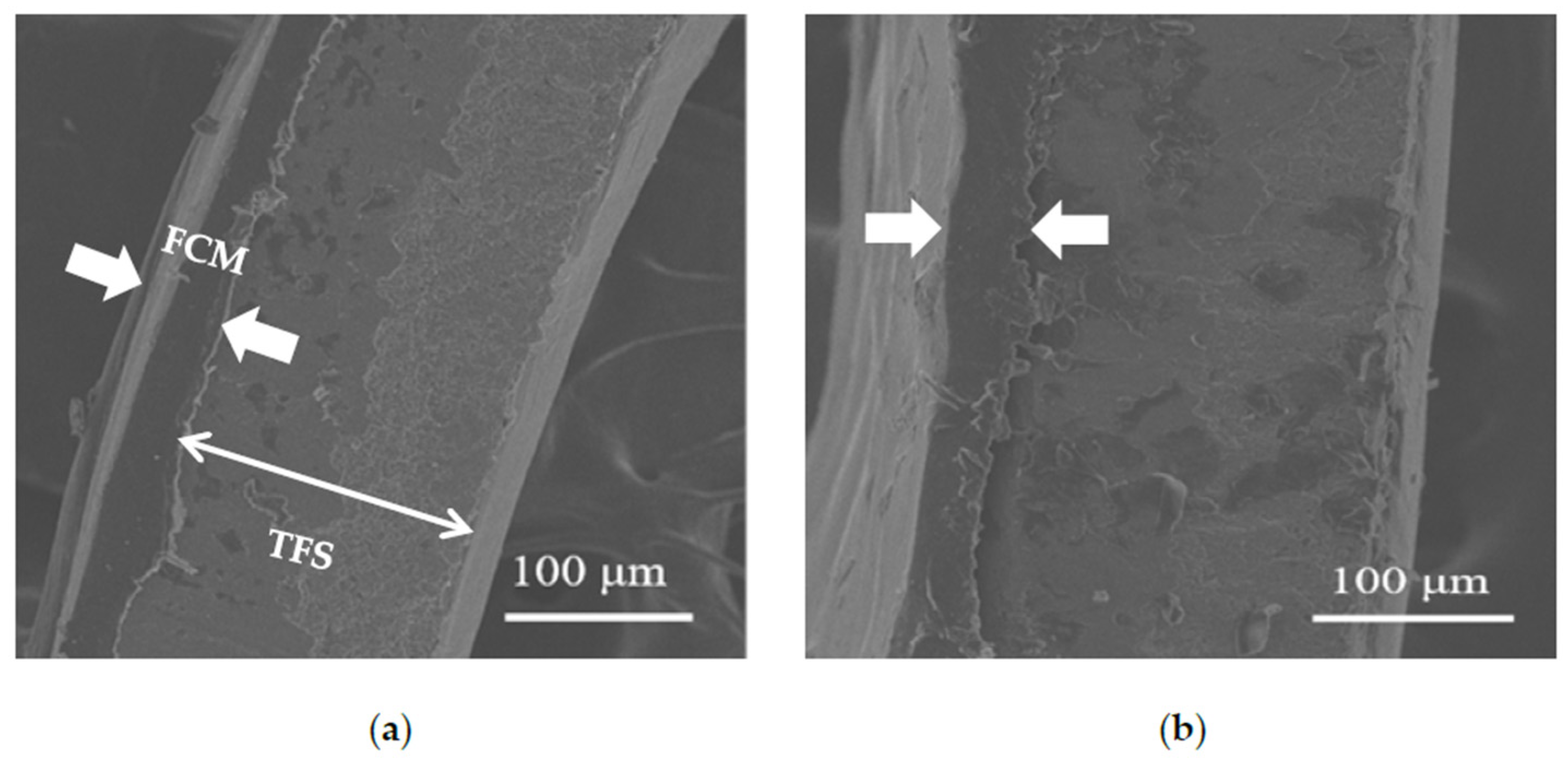 Coatings 13 00887 g013 Coatings 13 00887 g013