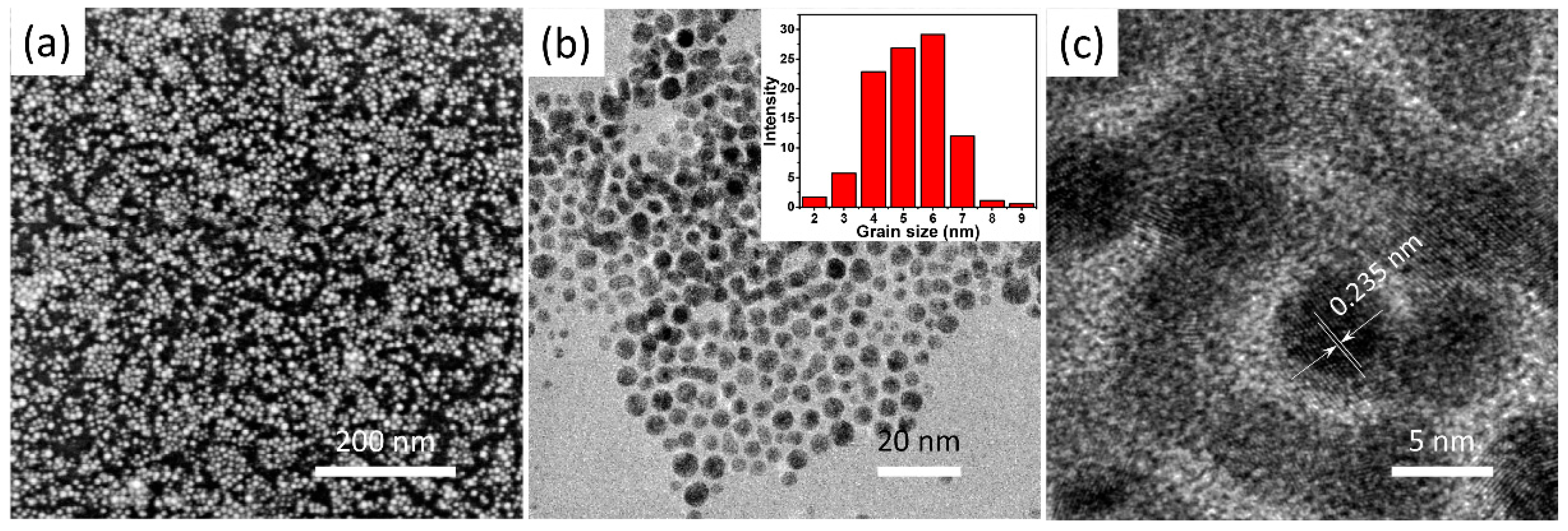 Coatings 13 00888 g003
