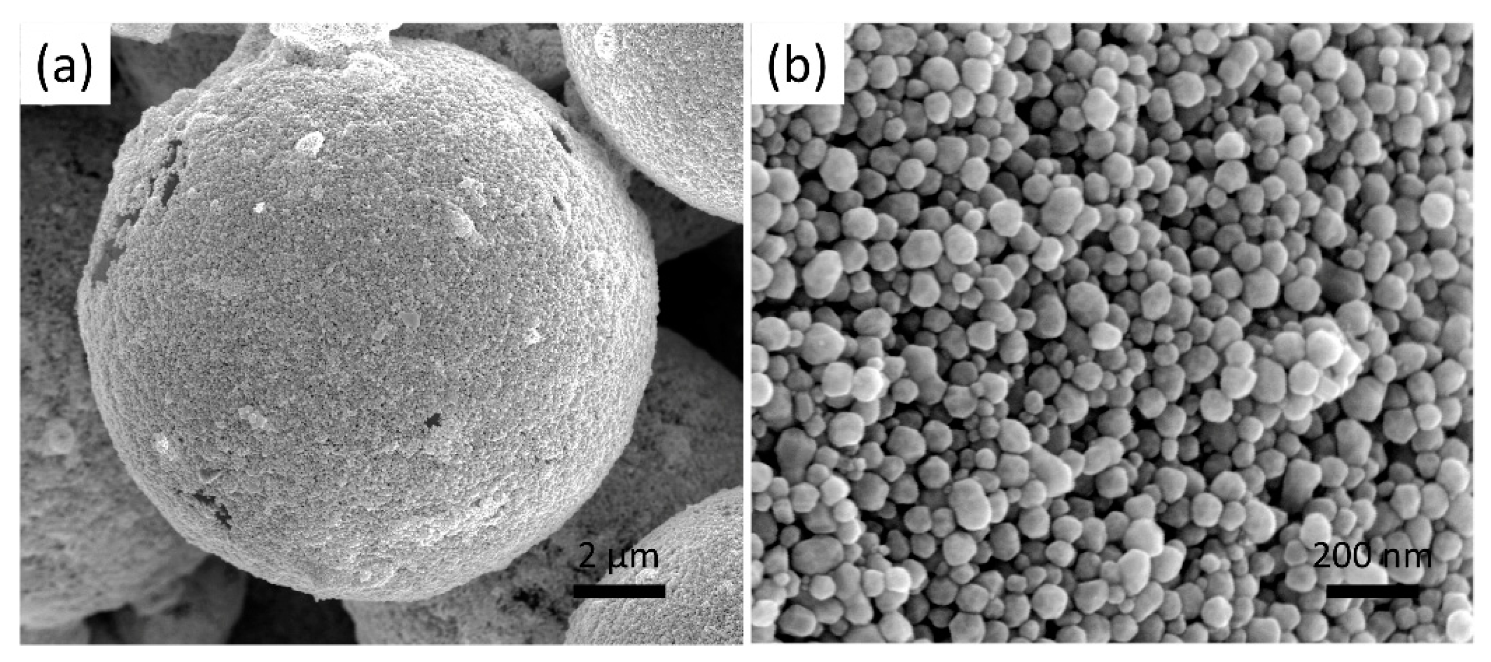 Coatings 13 00888 g004