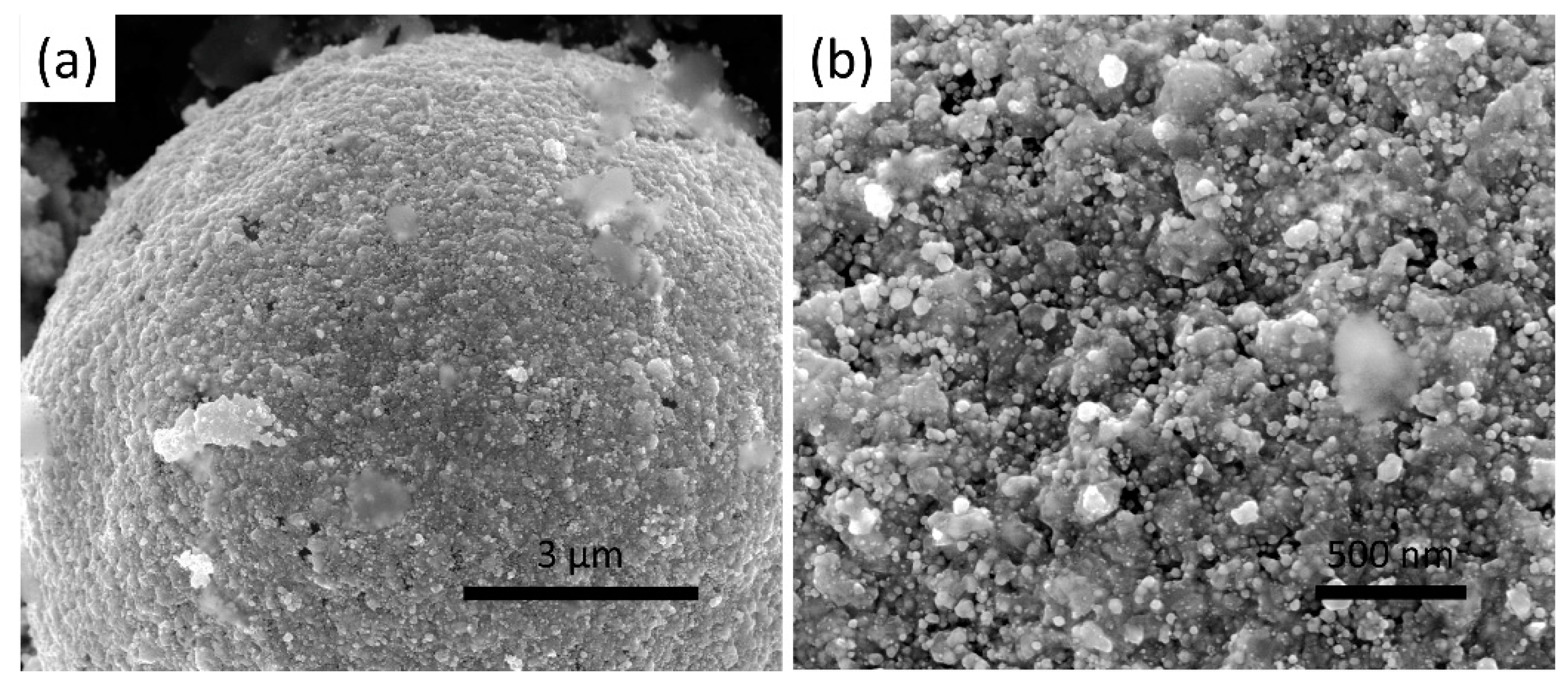 Coatings 13 00888 g005