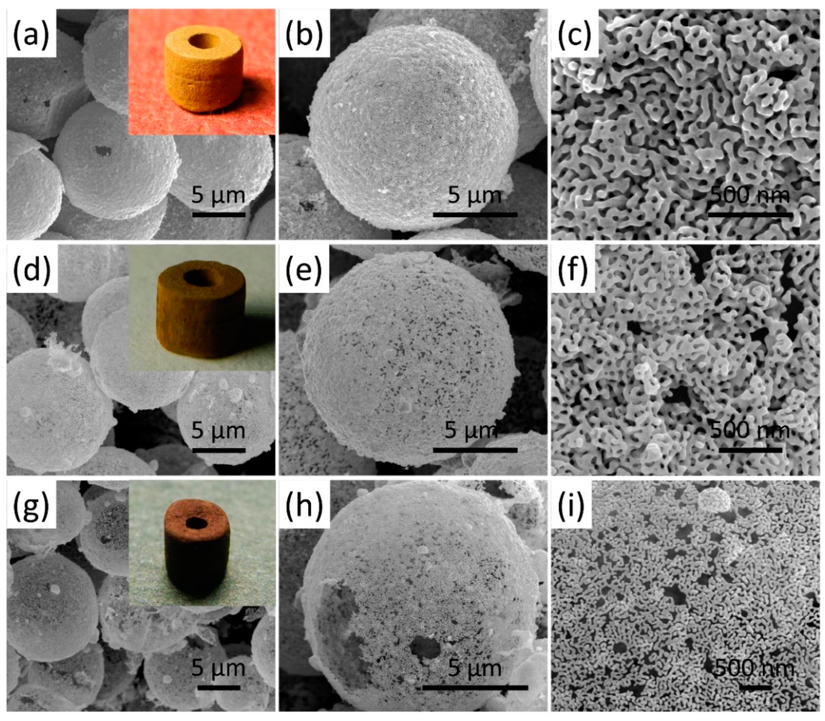 Coatings 13 00888 g007