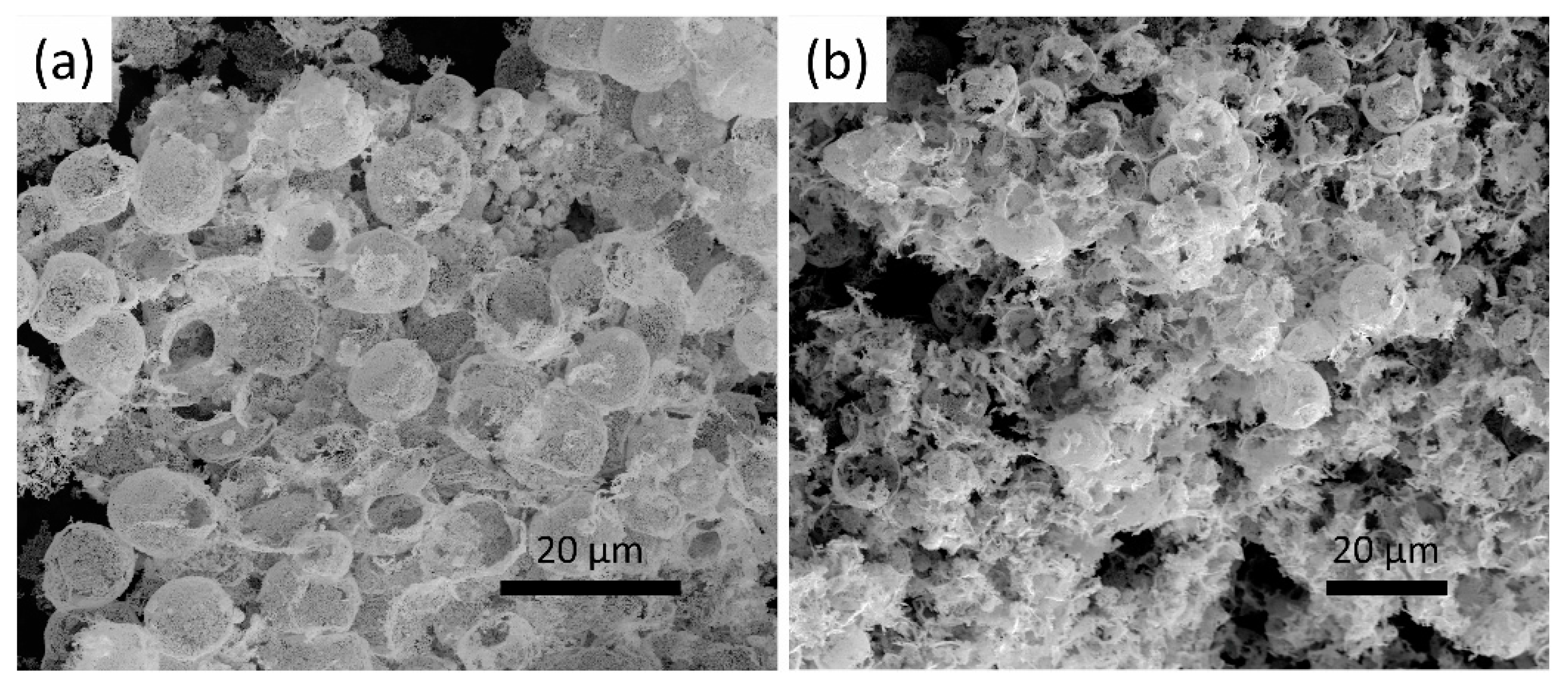 Coatings 13 00888 g009