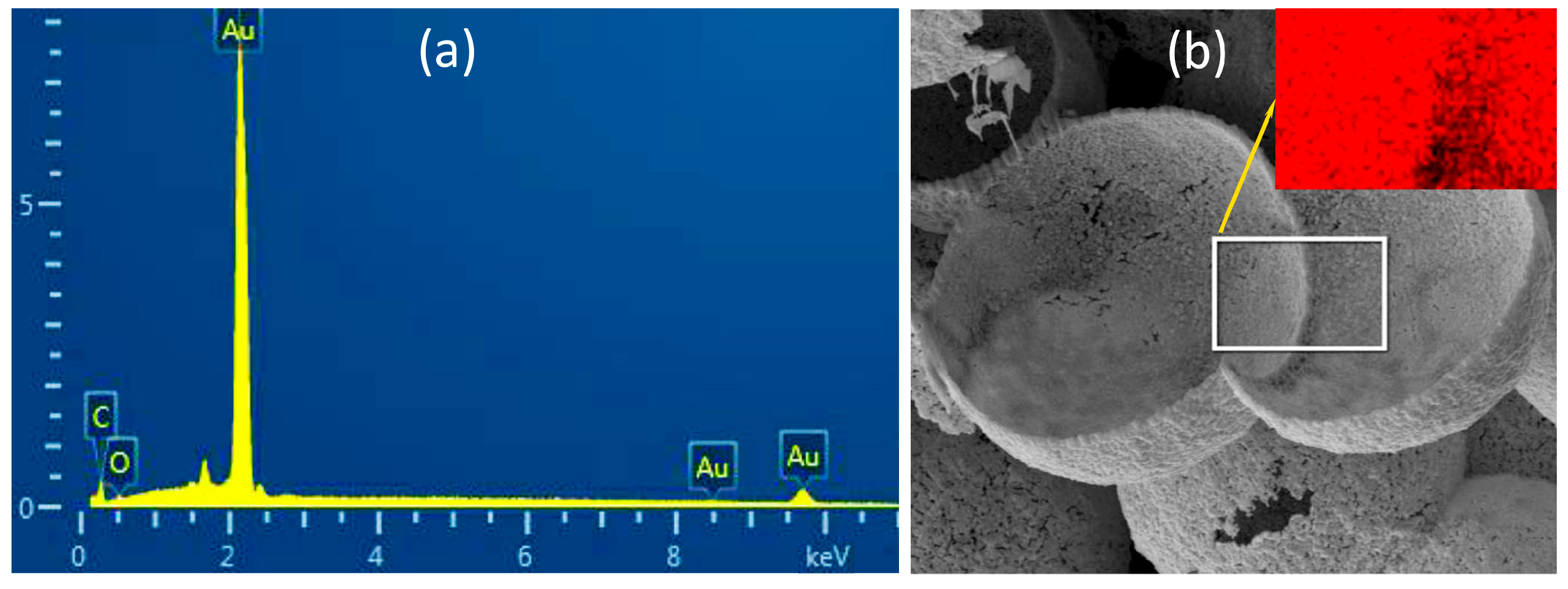 Coatings 13 00888 g011